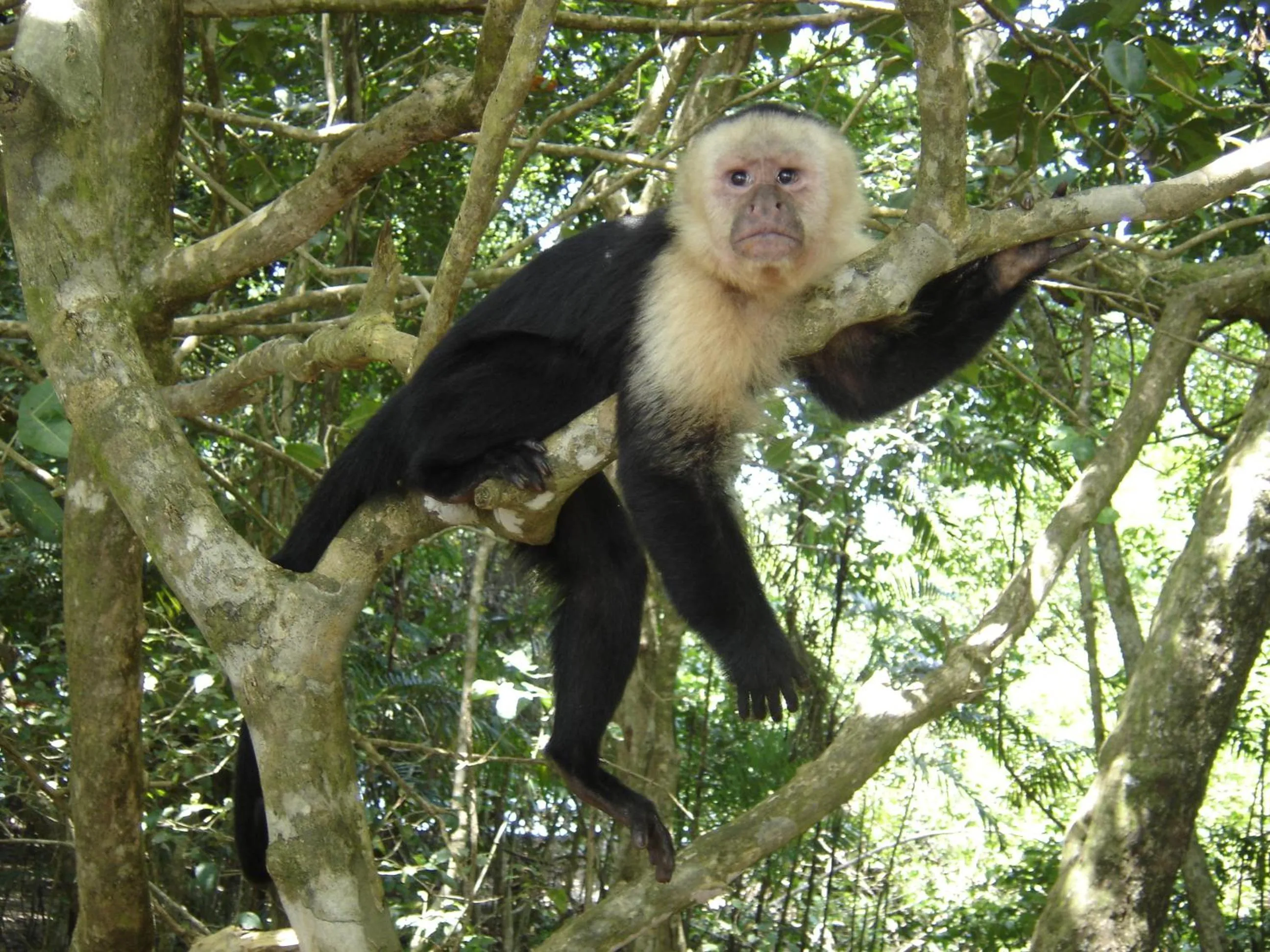 Swimming pool in Hotel Divisamar by LHR