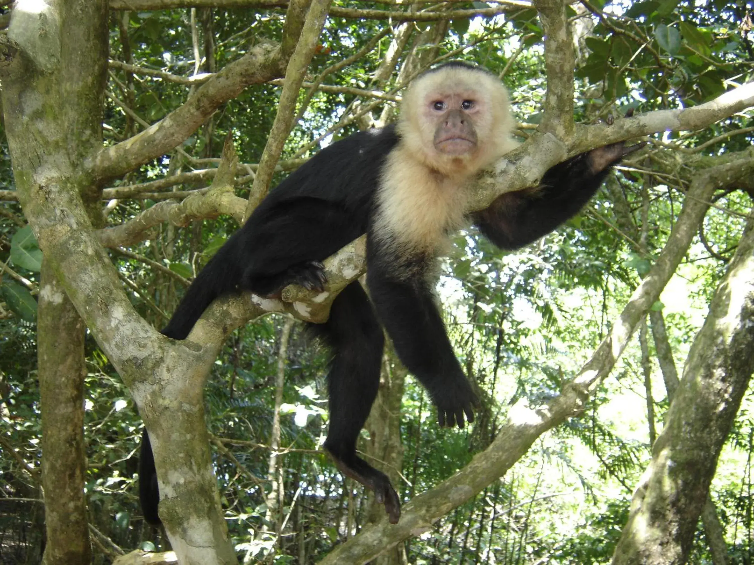Swimming pool in Hotel Divisamar by LHR Swimming pool in Hotel Divisamar by LHR