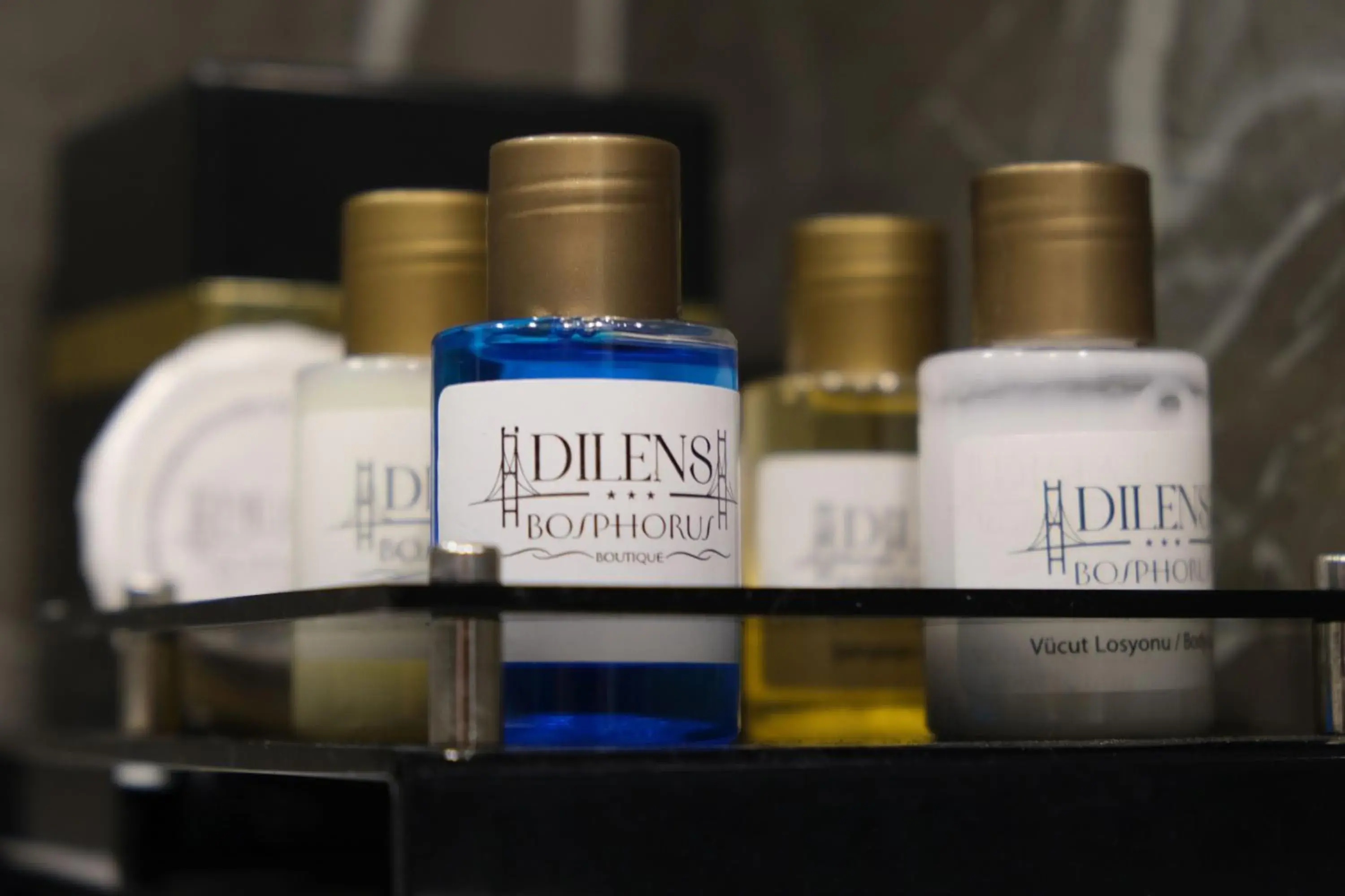 Dilens Bosphorus Hotel Dilens Bosphorus Hotel