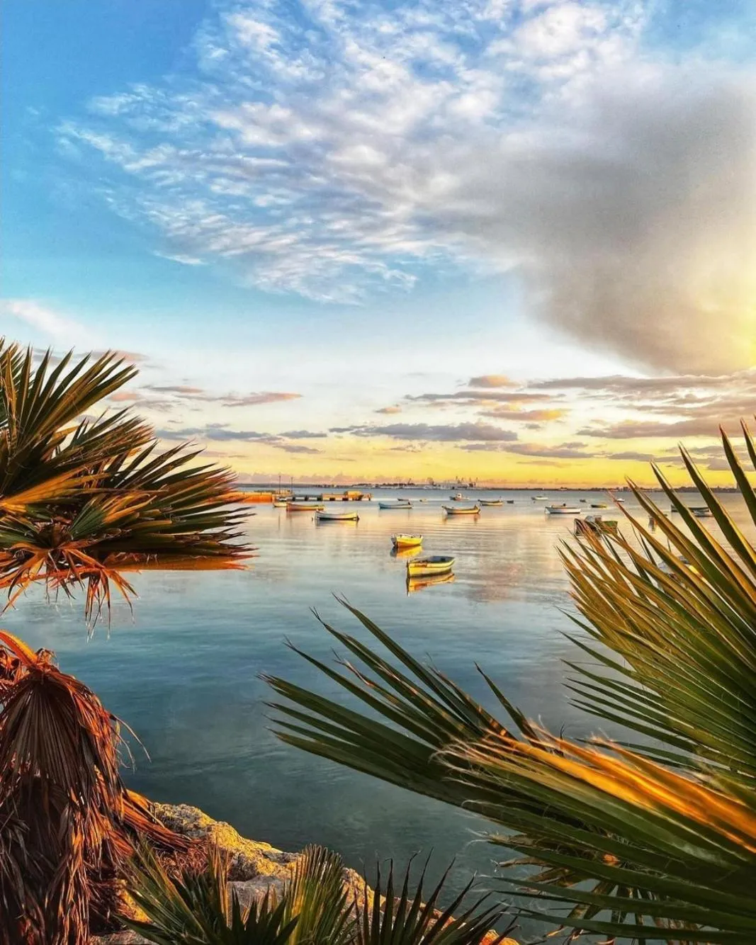 Summer in Hotel La Morena