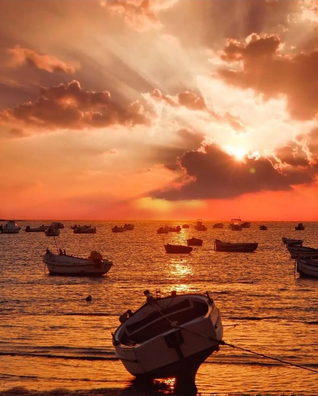 Summer in Hotel La Morena