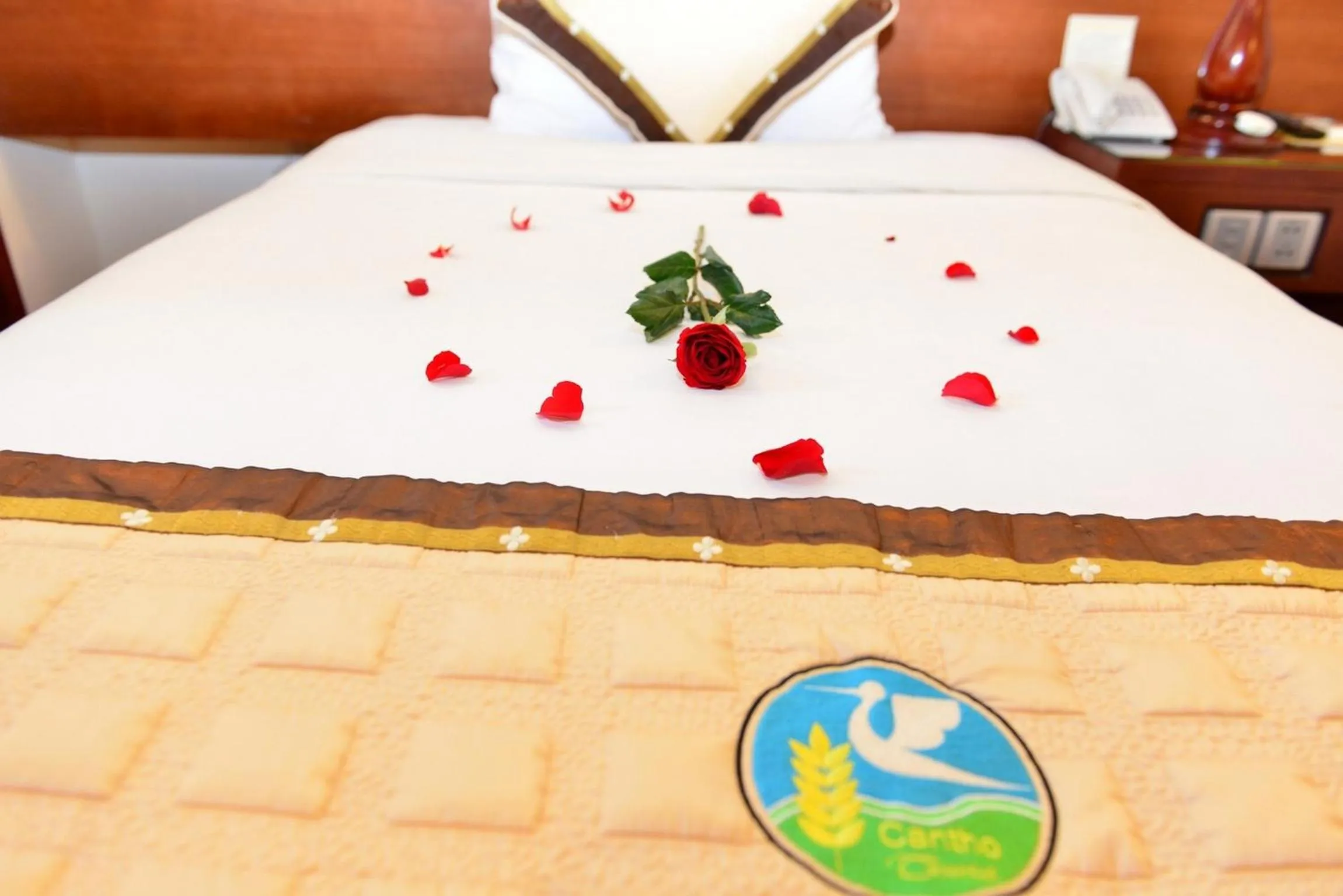 bunk bed, Bed in Hau Giang Hotel