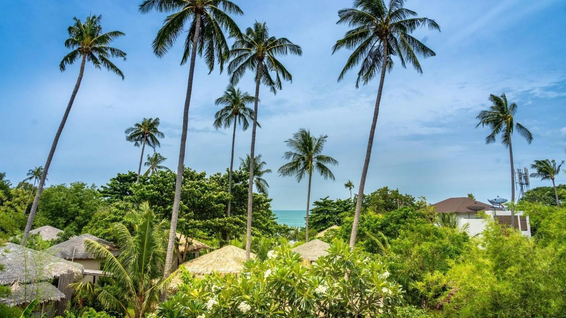 Sea view in Sea Dance Resort