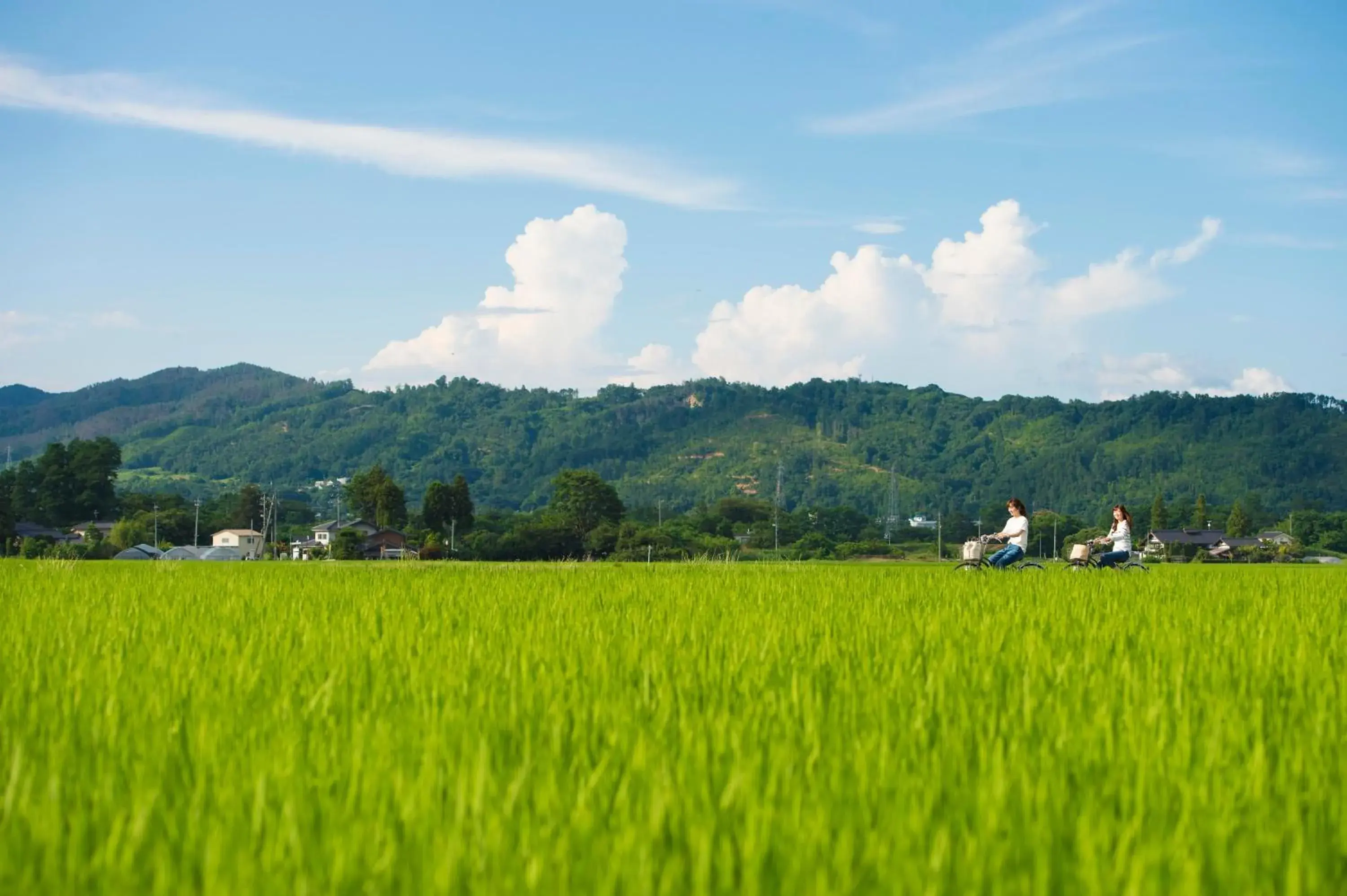 Cycling in Izumigo AMBIENT Azumino Hotel Cycling in Izumigo AMBIENT Azumino Hotel