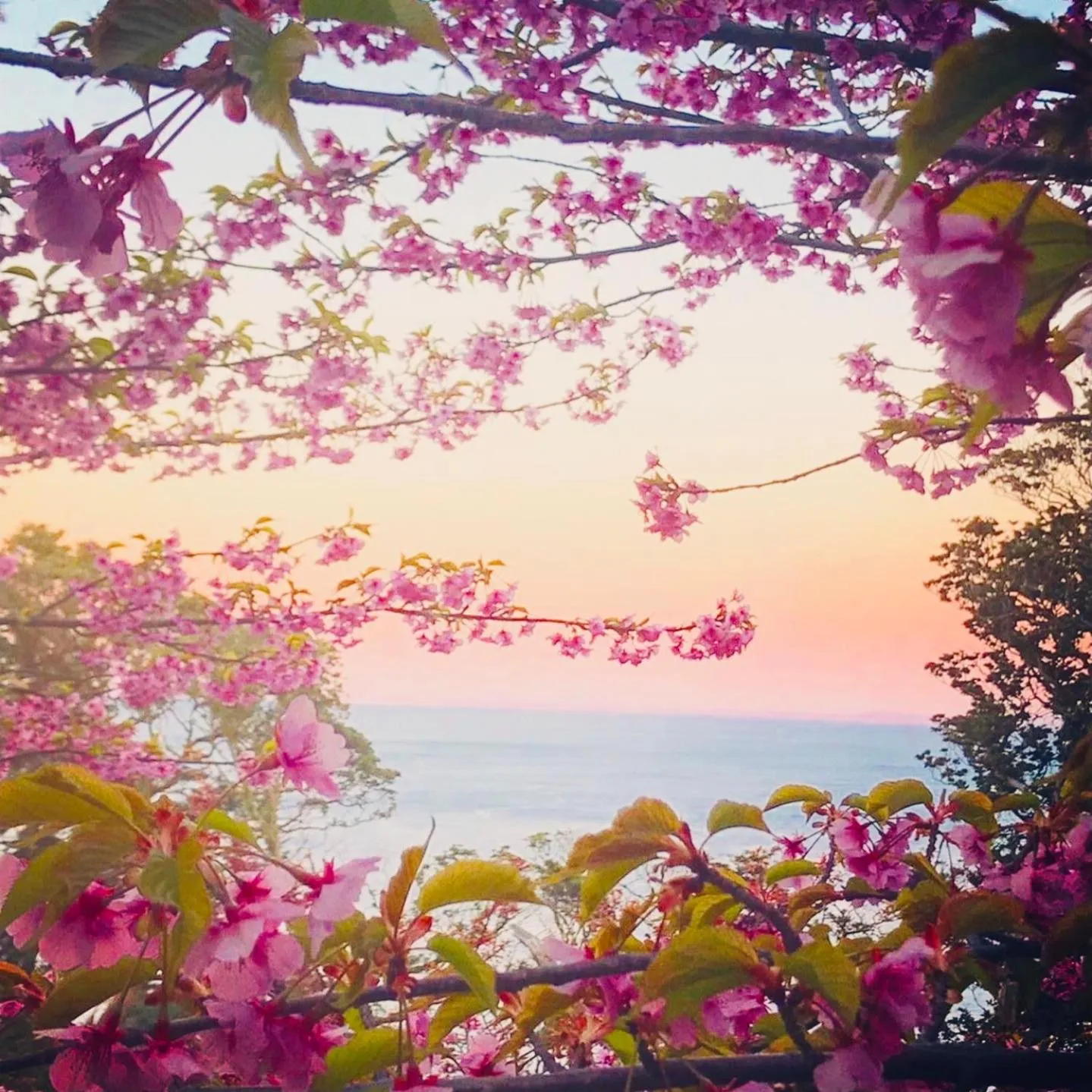 Natural landscape in Hotel MOANA絶景オーシャンビューカフェラウンジ朝食付き