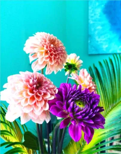 Breakfast in Hotel MOANA絶景オーシャンビューカフェラウンジ朝食付き