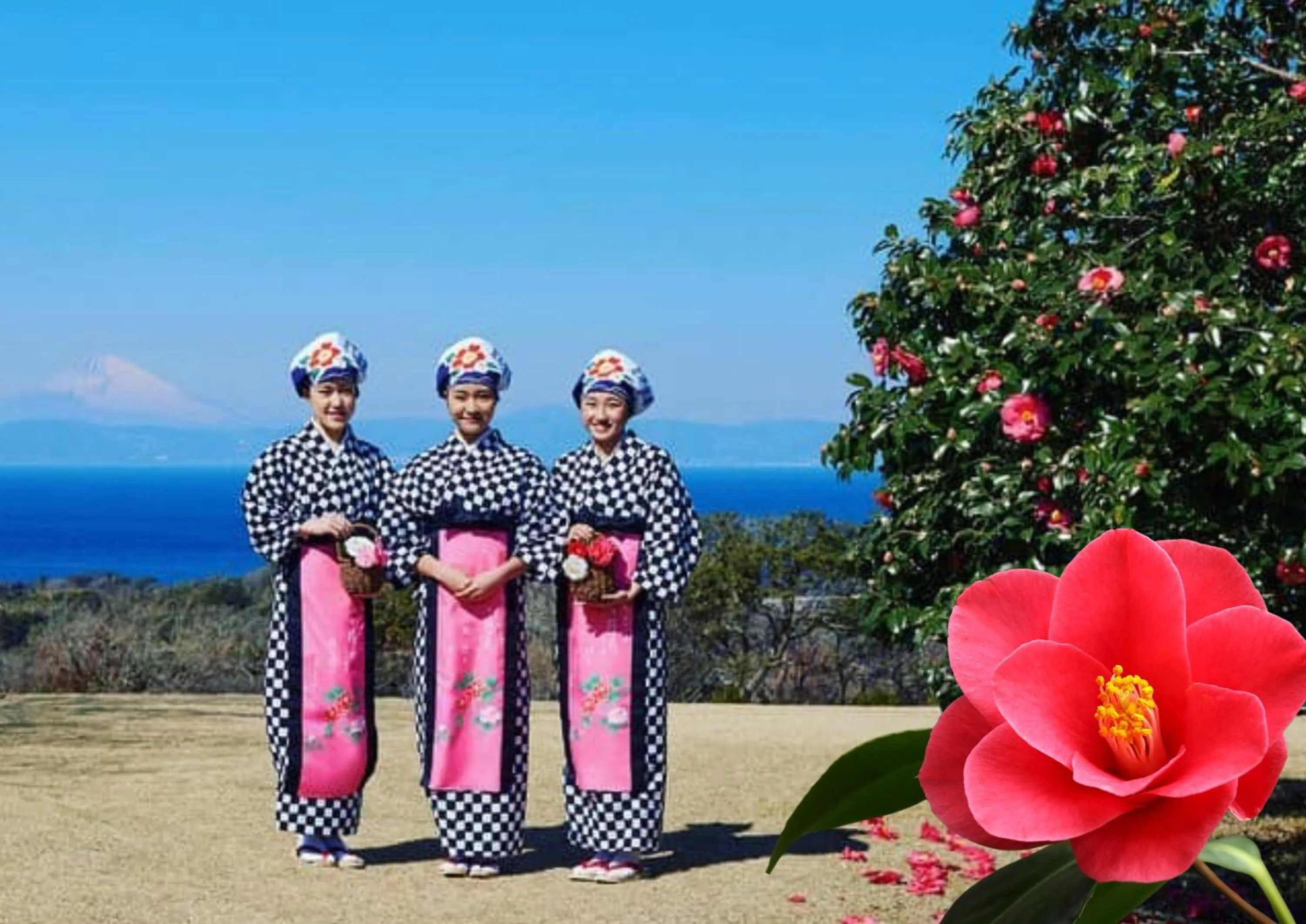 Spring in Hotel MOANA絶景オーシャンビューカフェラウンジ朝食付き