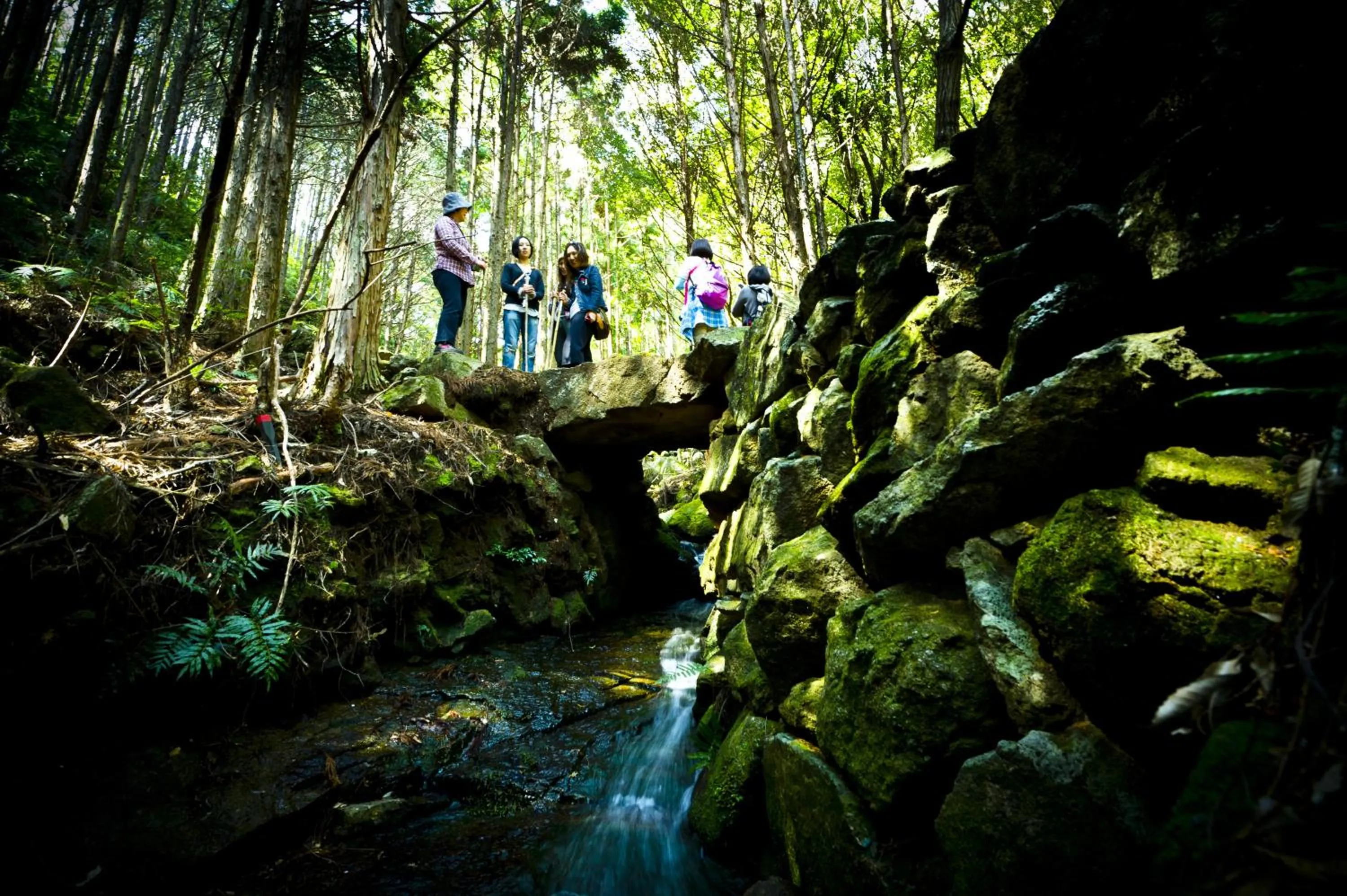 Activities in Resort Kumano Club