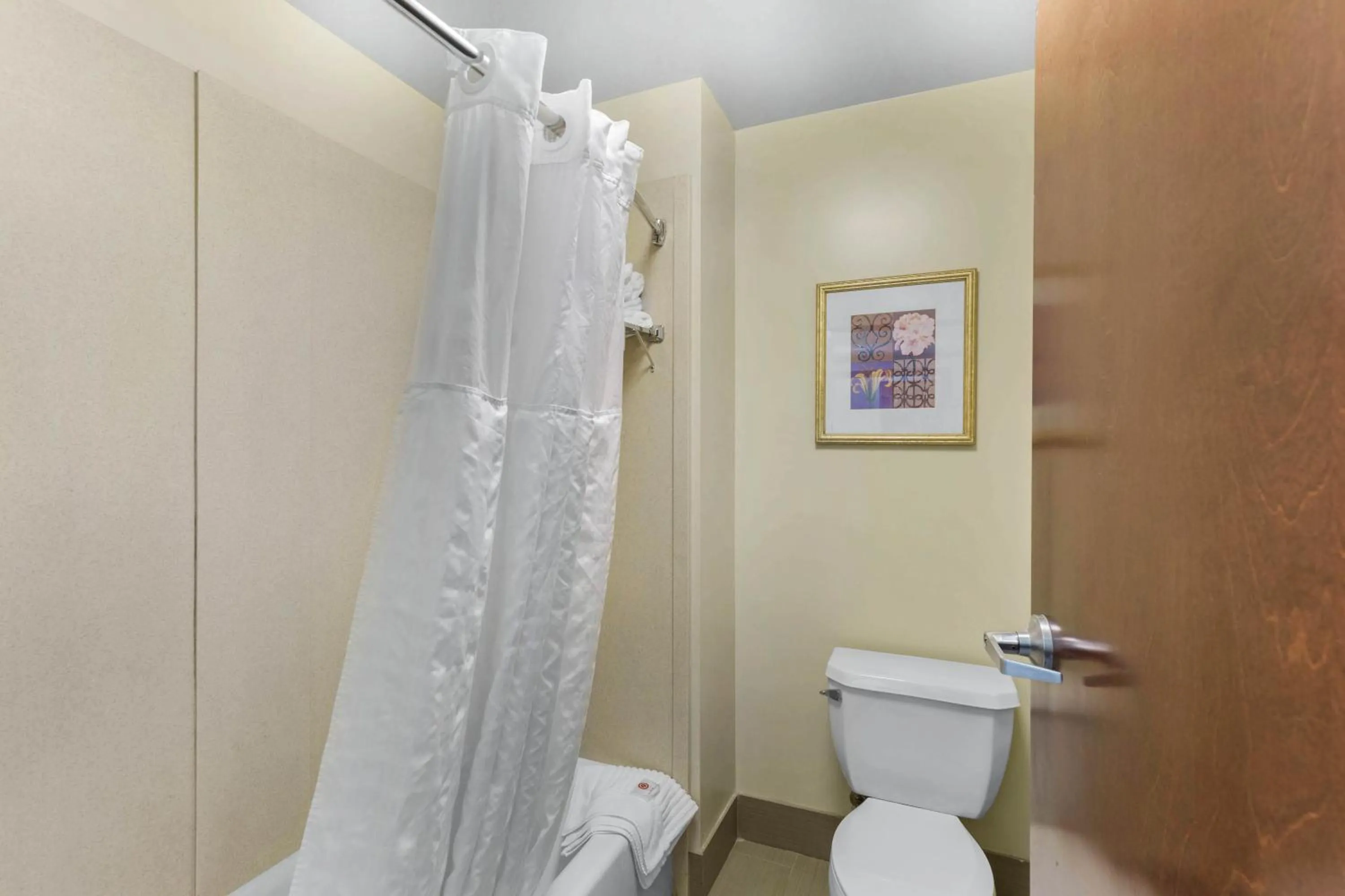 Toilet in Comfort Suites Elkridge Columbia Gateway
