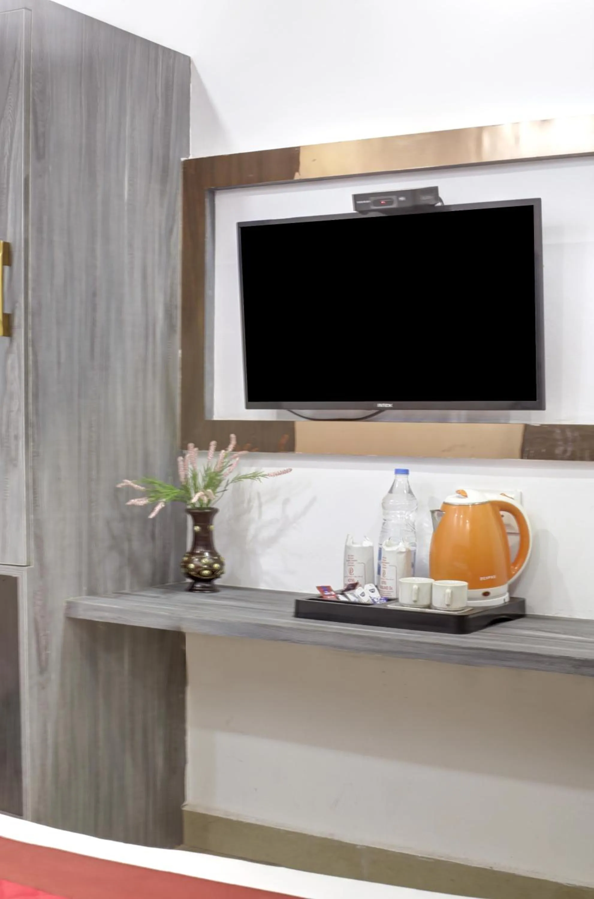 TV and multimedia in Hotel Dreamland Dx-5 Mints walk From New Delhi Railways Station