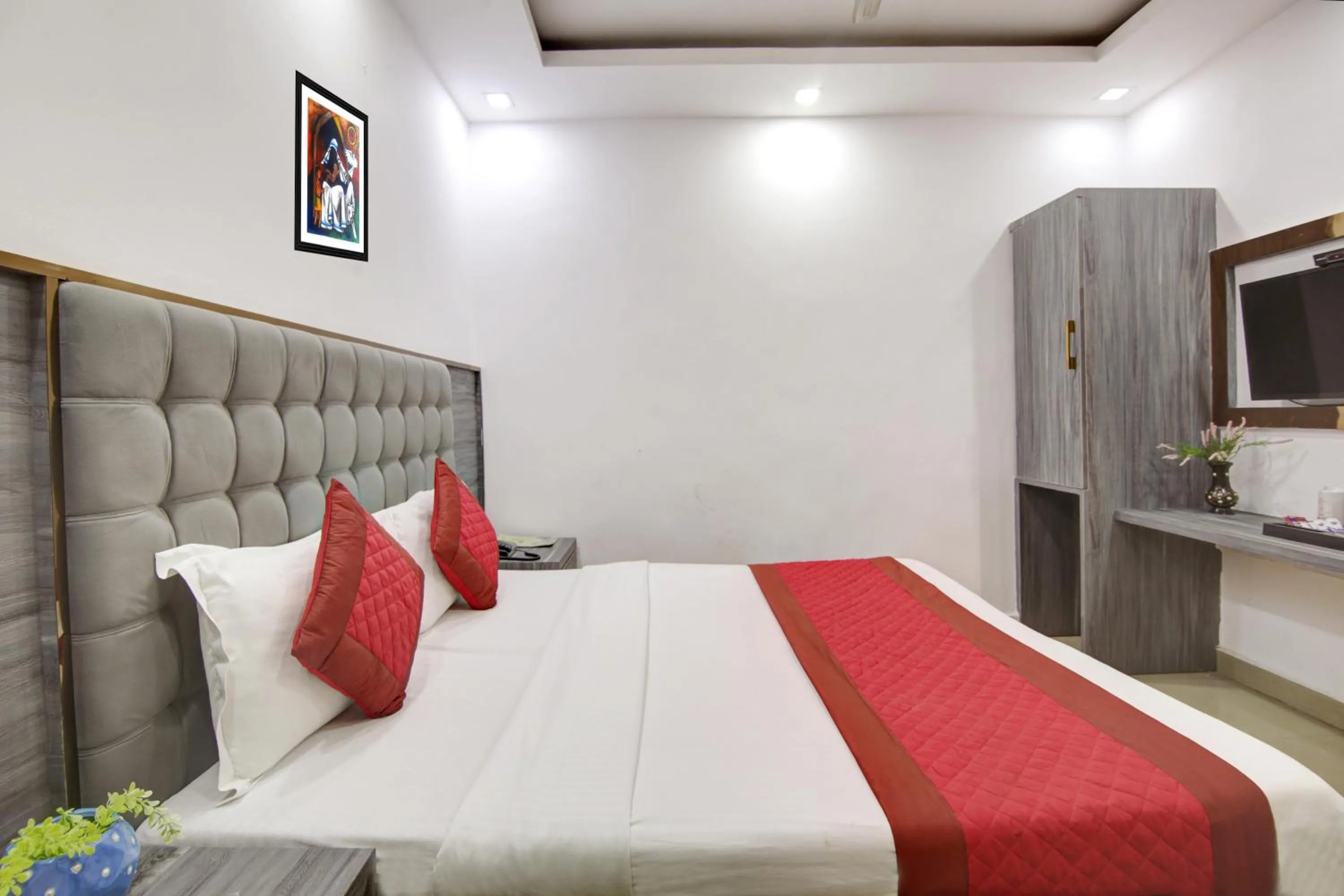 TV and multimedia, Bed in Hotel Dreamland Dx-5 Mints walk From New Delhi Railways Station