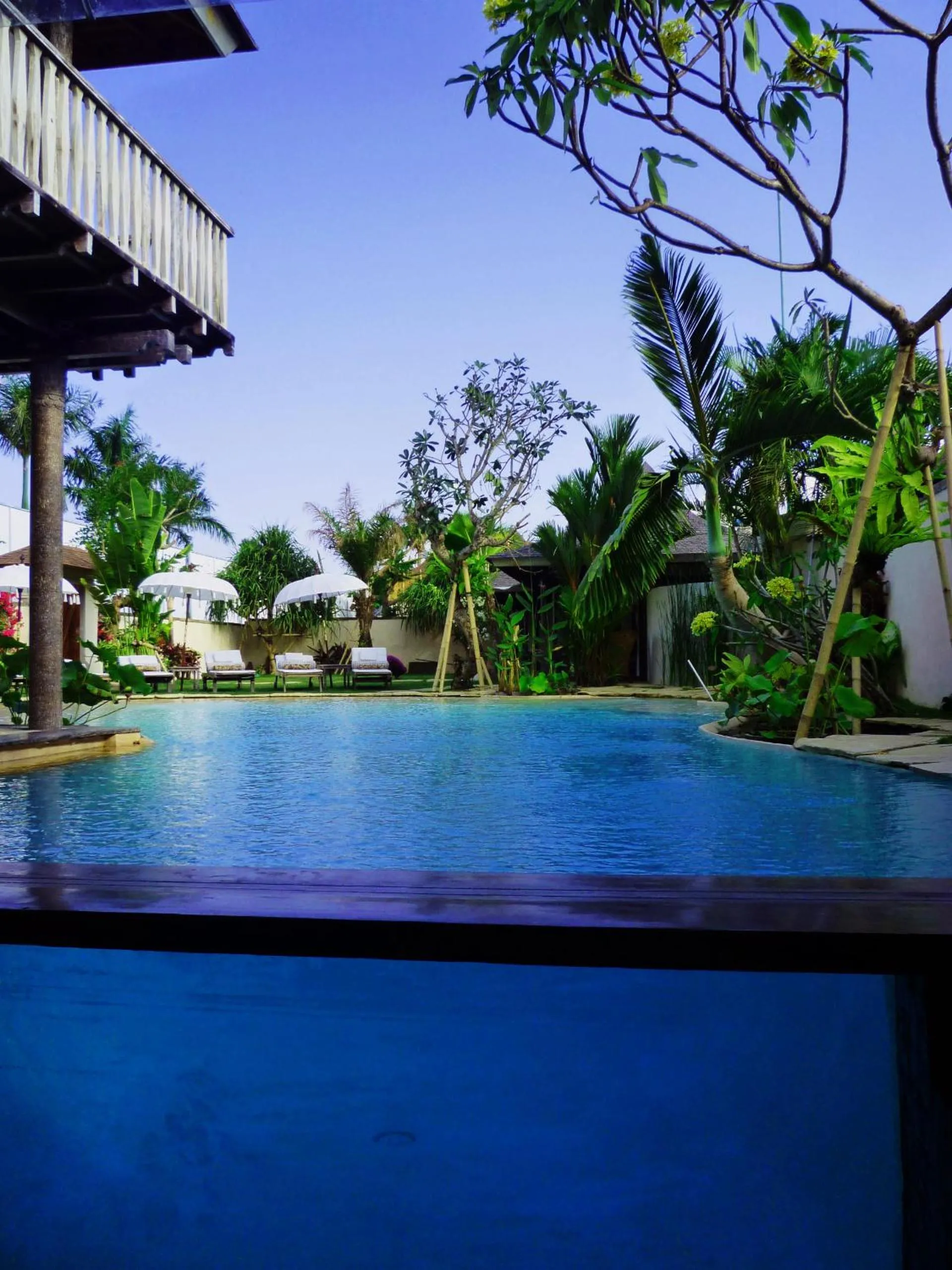 Swimming pool in Phinisi Villas - Seminyak Beach
