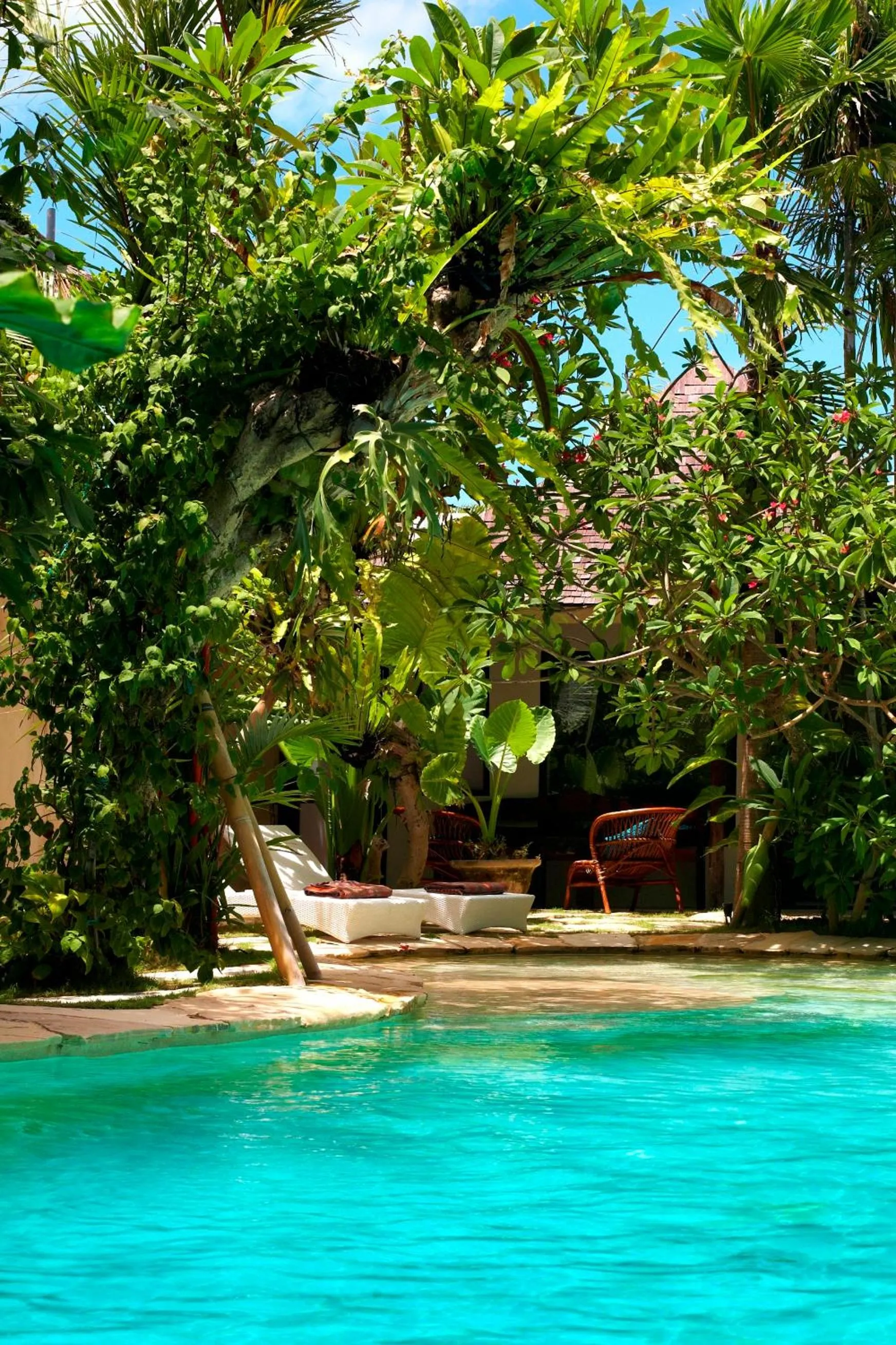 Swimming pool in Phinisi Villas - Seminyak Beach