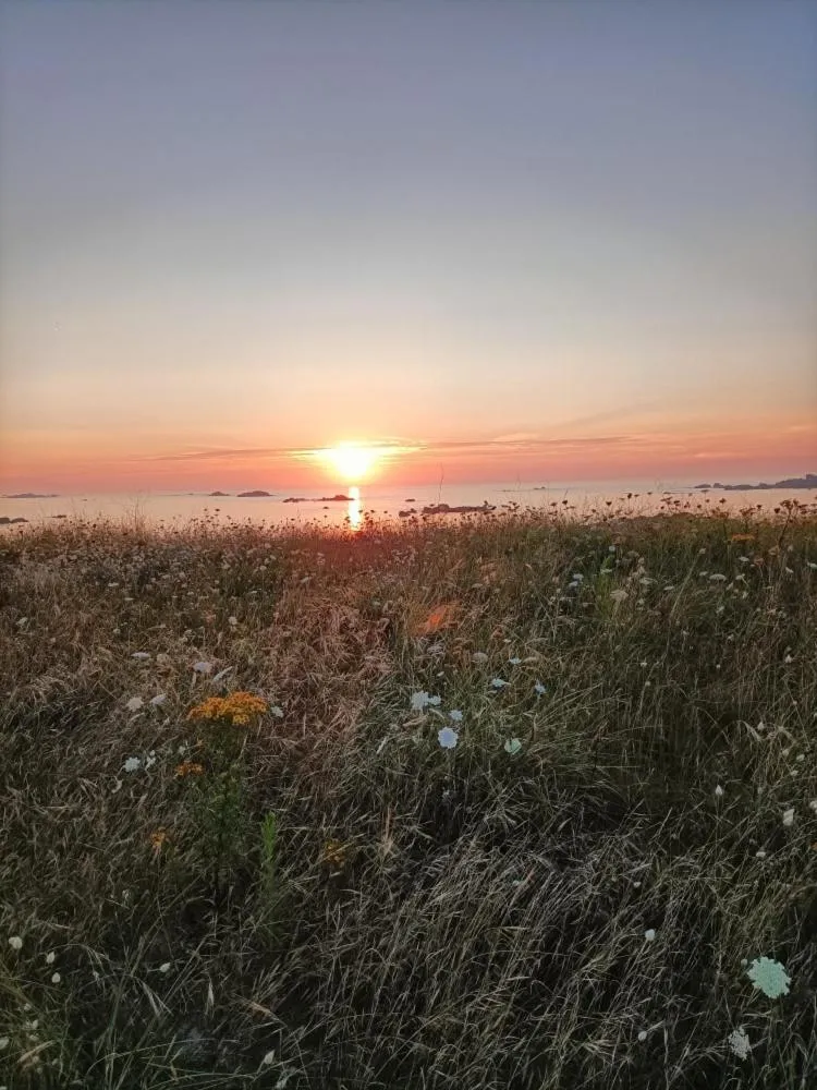 Natural landscape in Oudoty