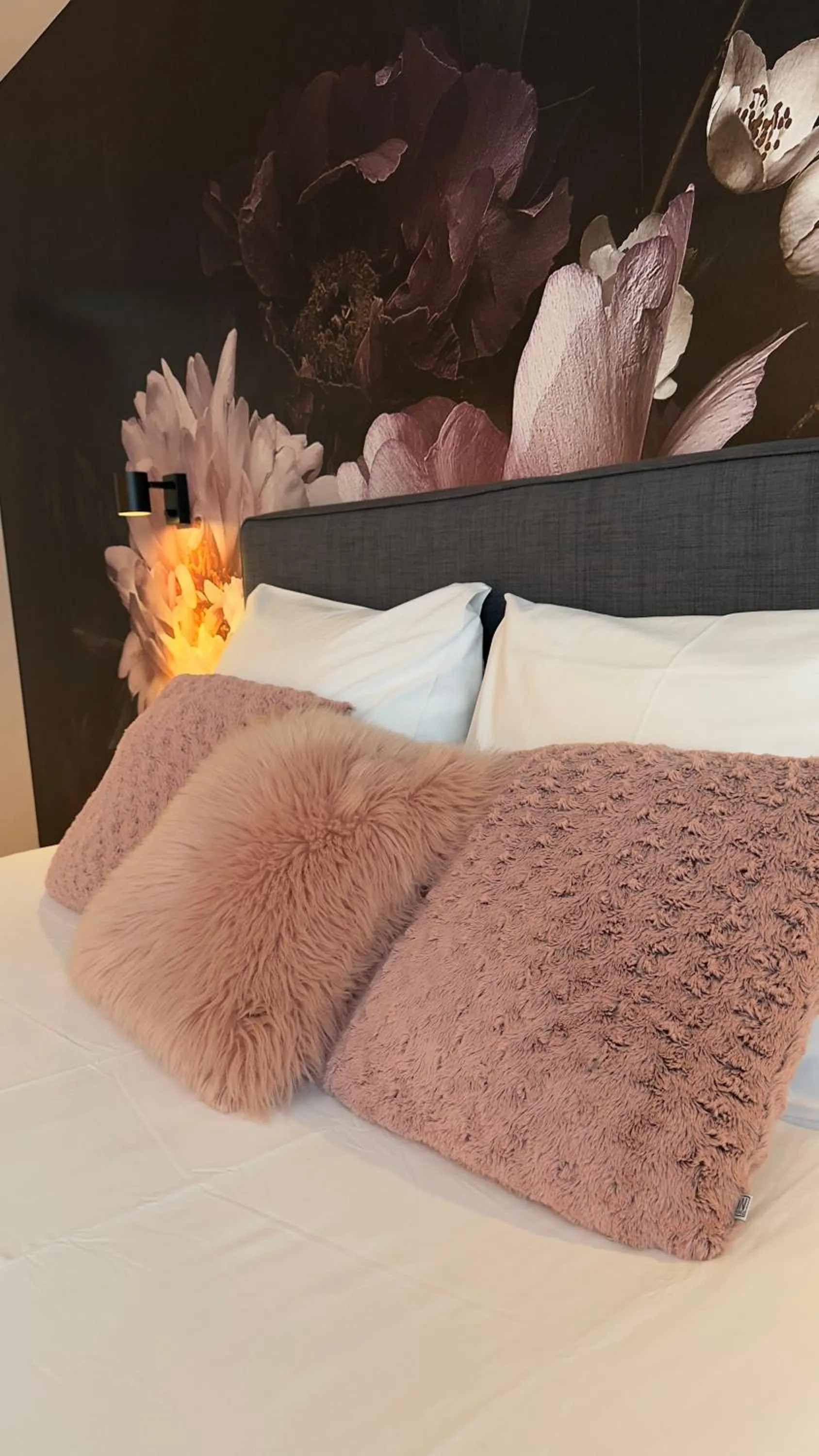 Bed in Bon Vert B&B en Café