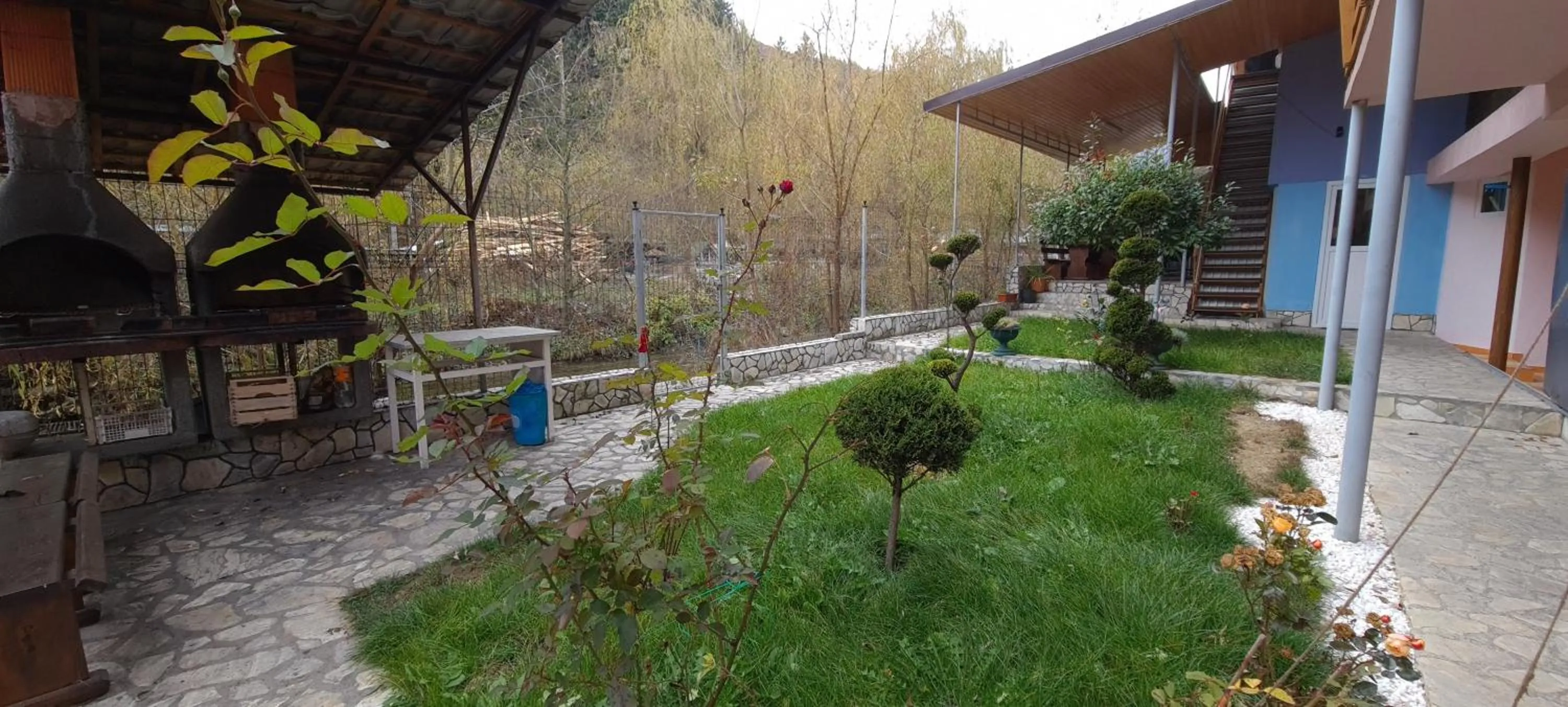 Garden in Pensiunea Aurora - Great Hostel Voineasa