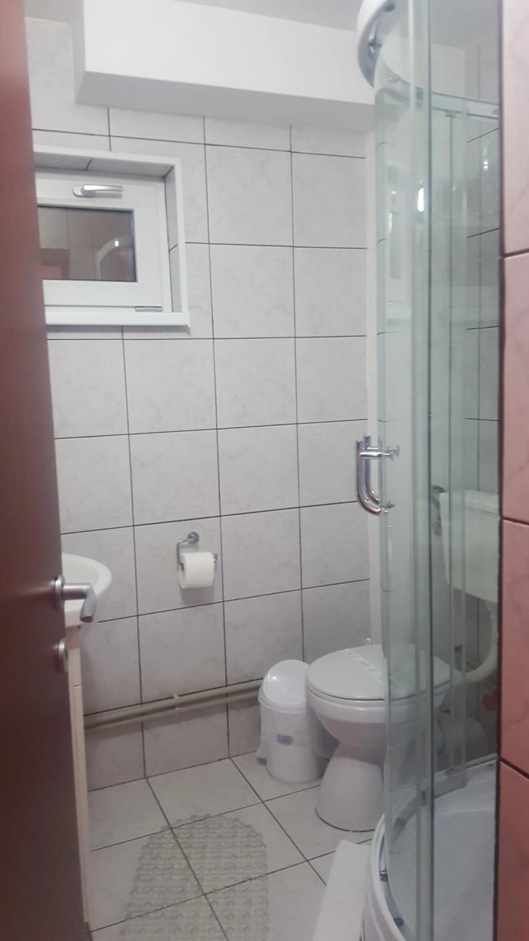 Shower in Pensiunea Aurora - Great Hostel Voineasa