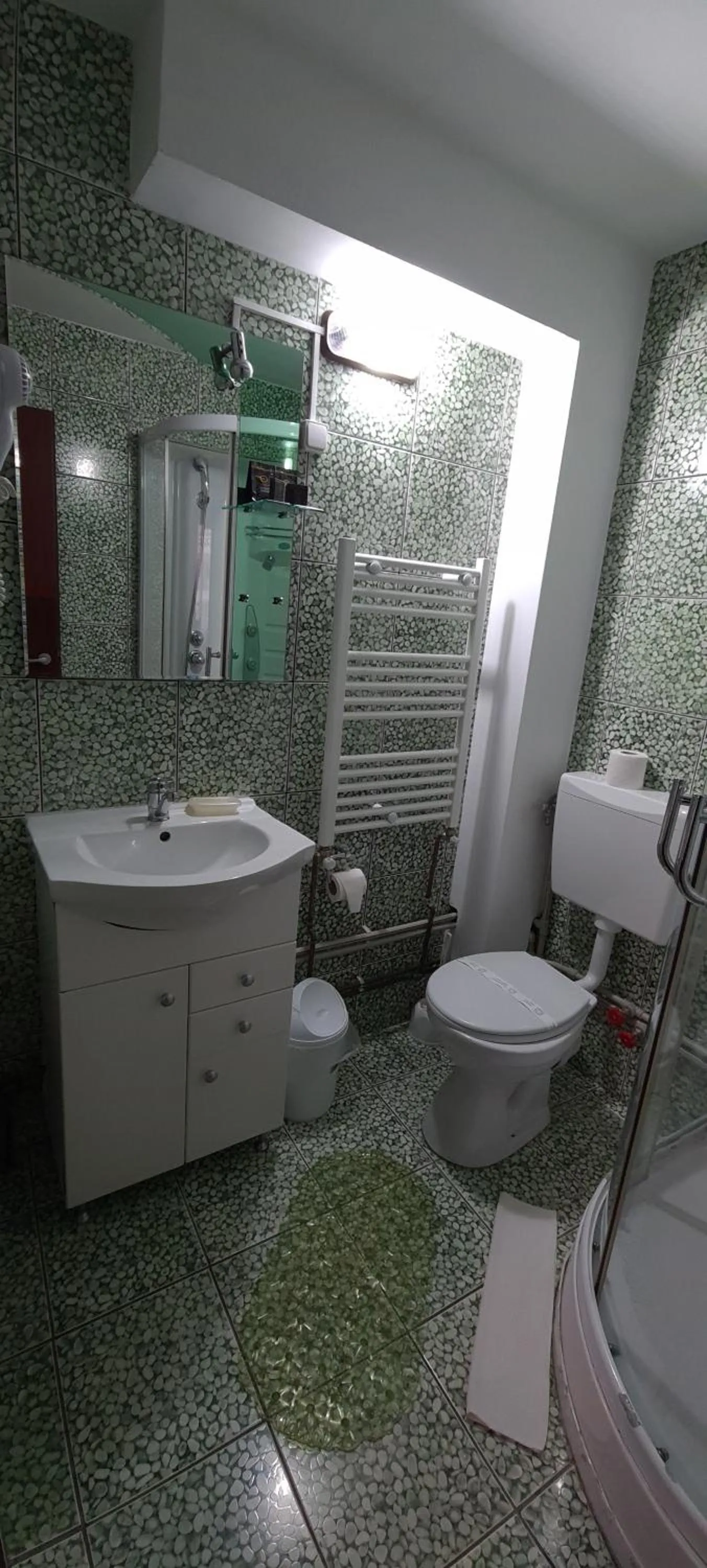 Bathroom in Pensiunea Aurora - Great Hostel Voineasa