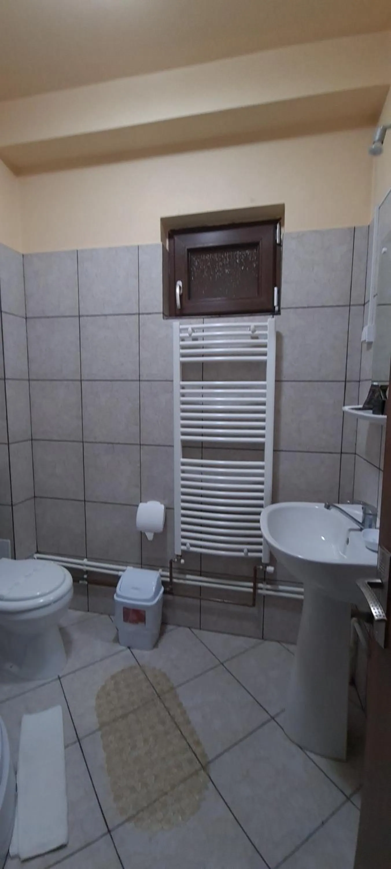 Bathroom in Pensiunea Aurora - Great Hostel Voineasa