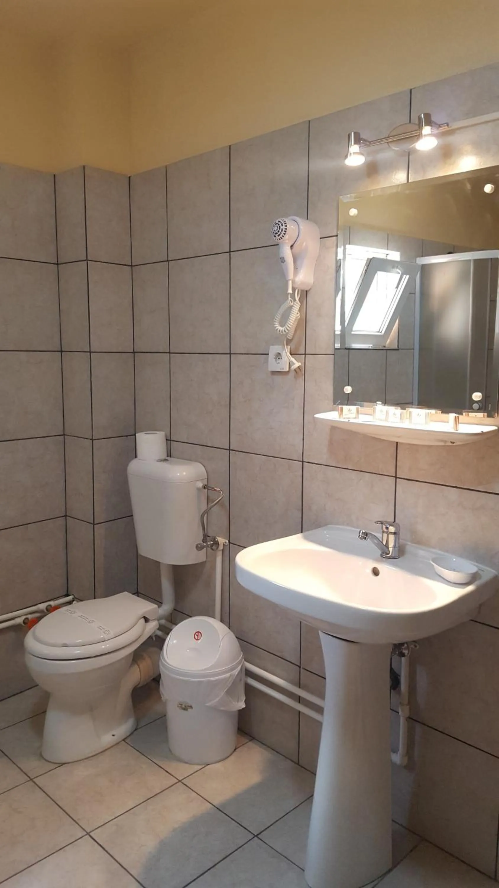 Bathroom in Pensiunea Aurora - Great Hostel Voineasa