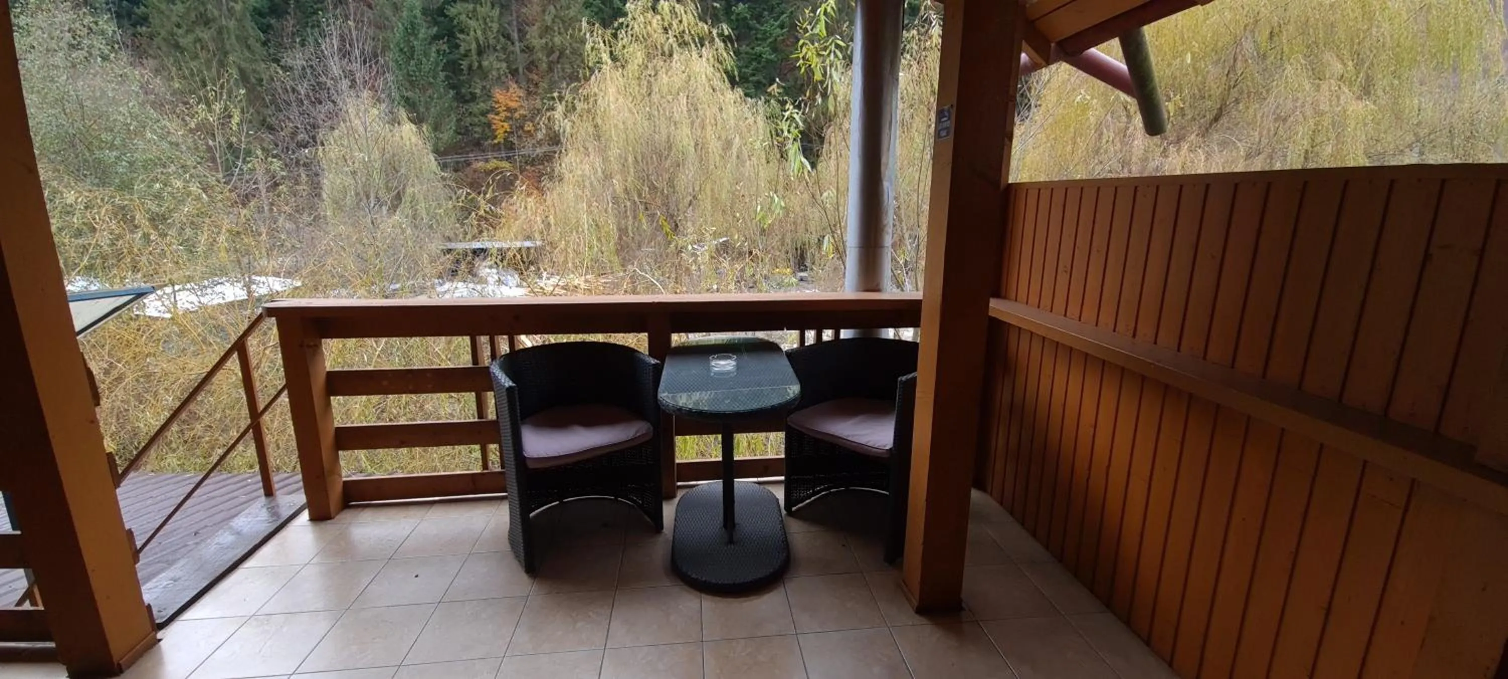 Balcony/Terrace in Pensiunea Aurora - Great Hostel Voineasa