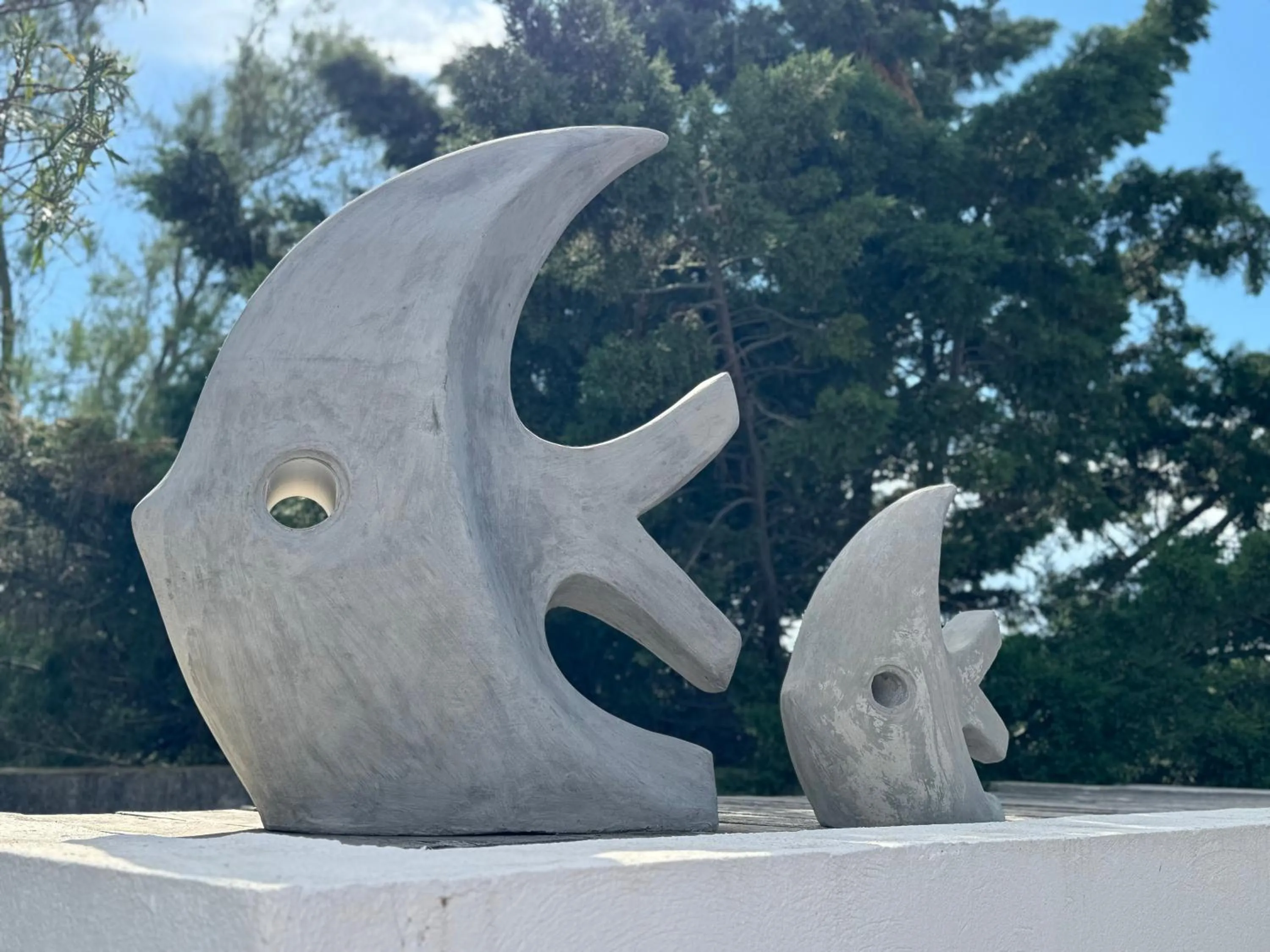 Day in Le Mas de Cocagne