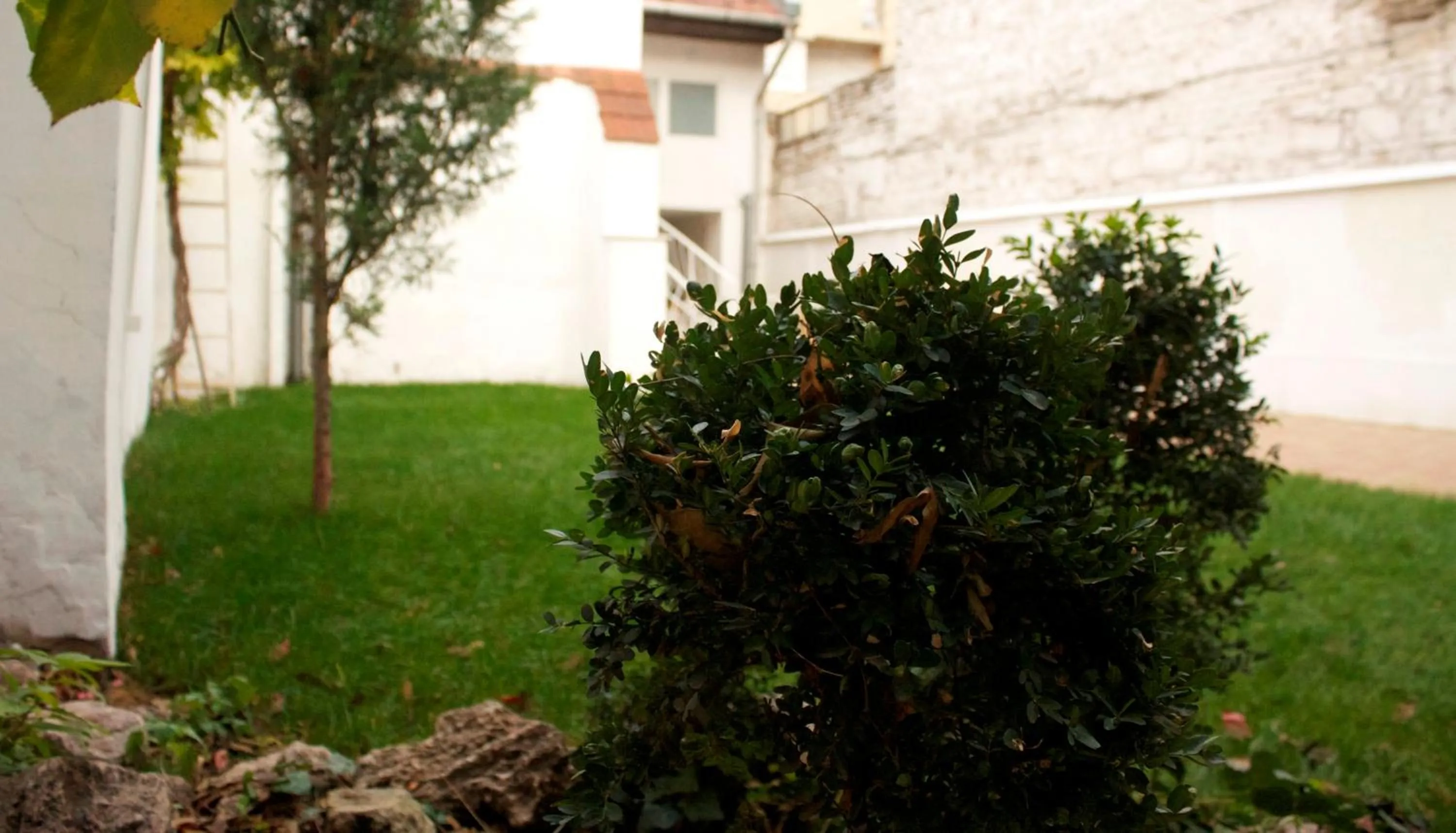 Garden in Garden House