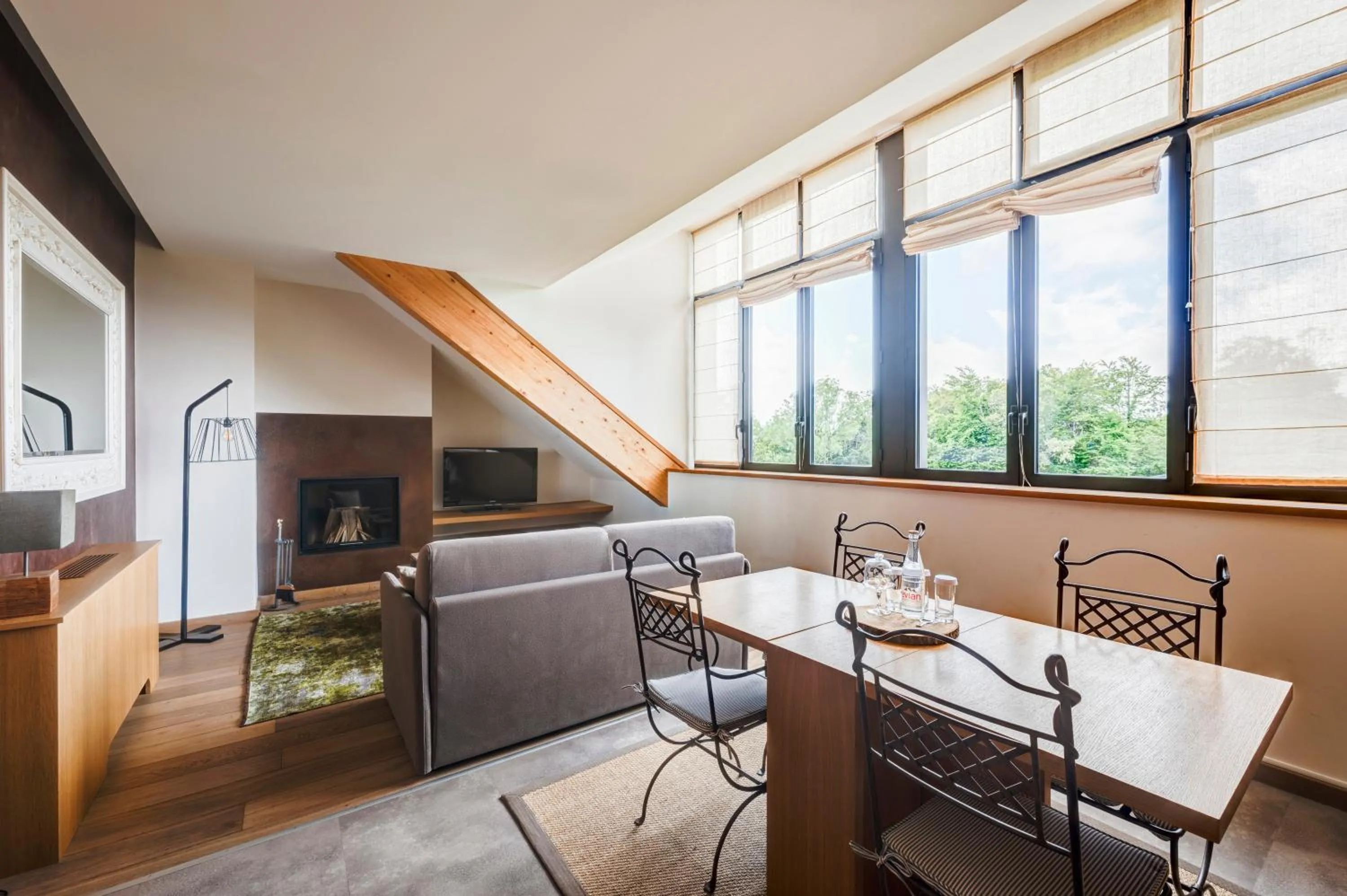 TV and multimedia in Château des Avenieres - Relais & Châteaux