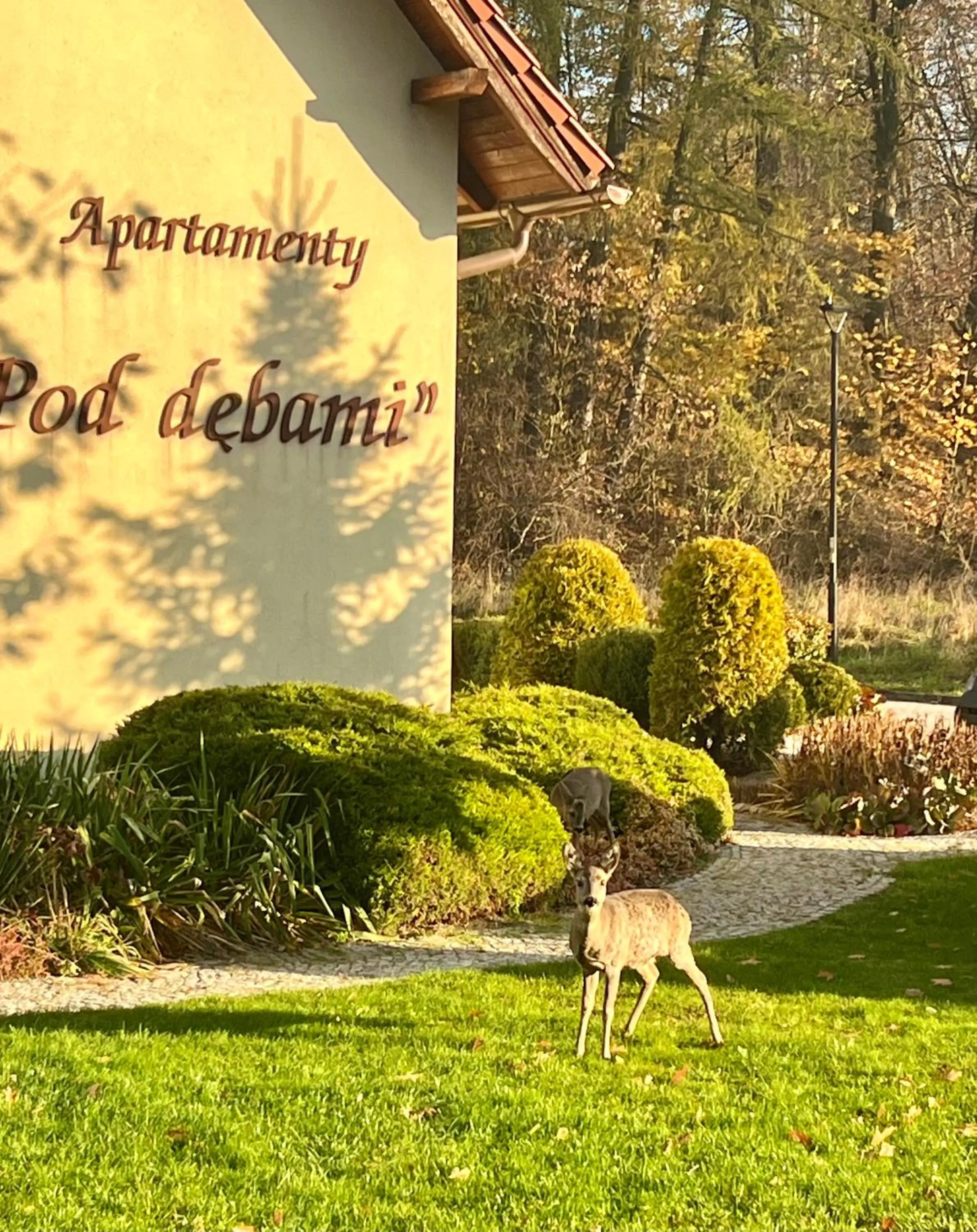 ApartamentyKudowa - Willa Pod Dębami z ogrodem i parkingiem,