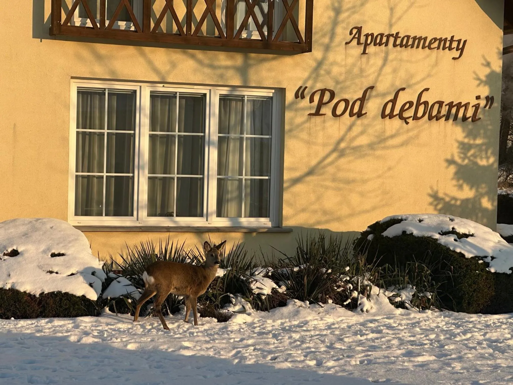 Winter in ApartamentyKudowa - Willa Pod Dębami z ogrodem i parkingiem,