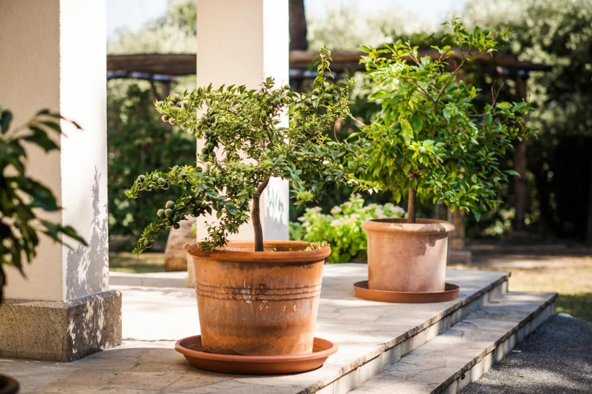 Fattoria Busa dell'Oro