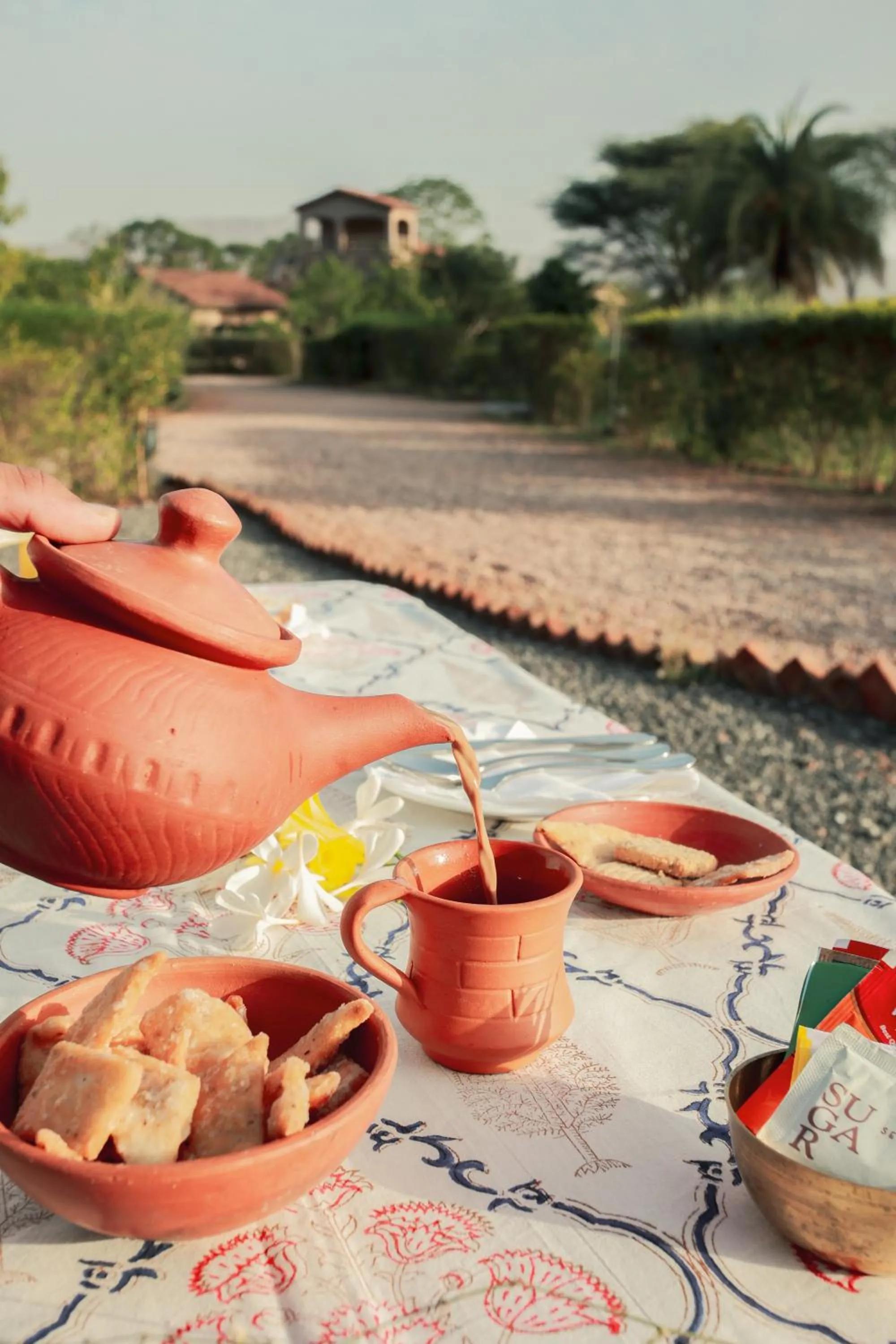 Clarks Safari Pushkar