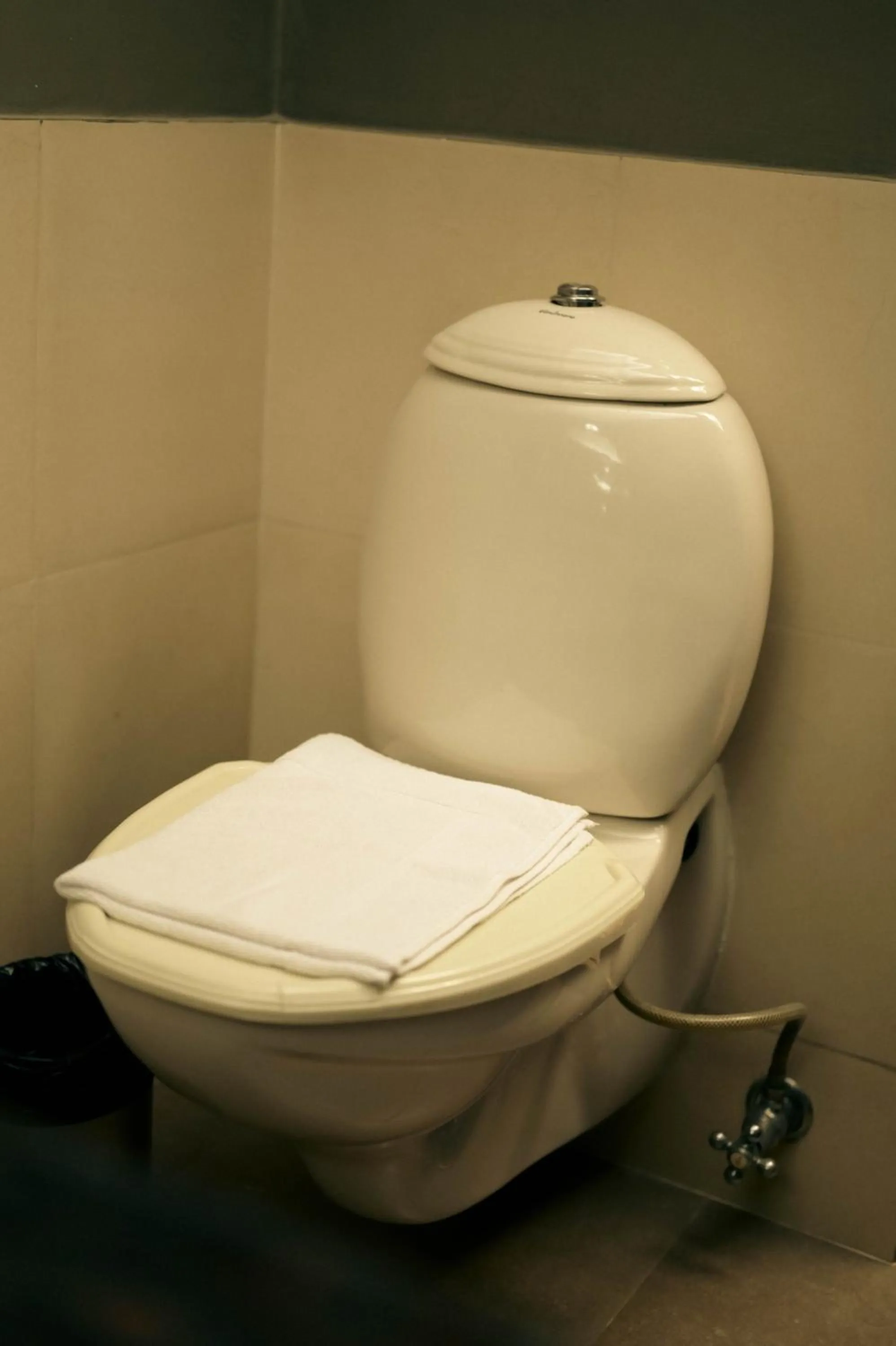 Clarks Safari Pushkar