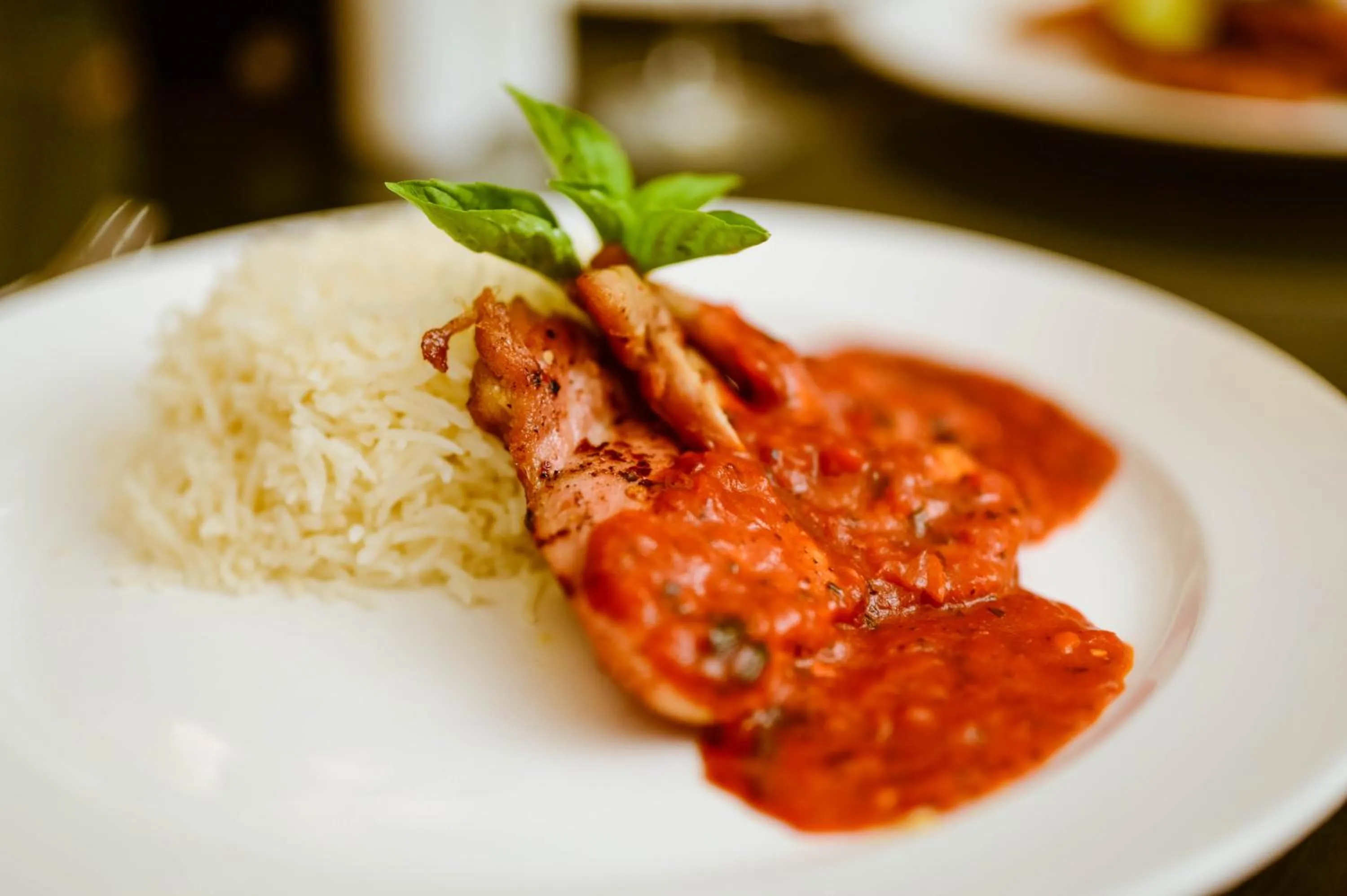 Food close-up in Clarks Safari Pushkar