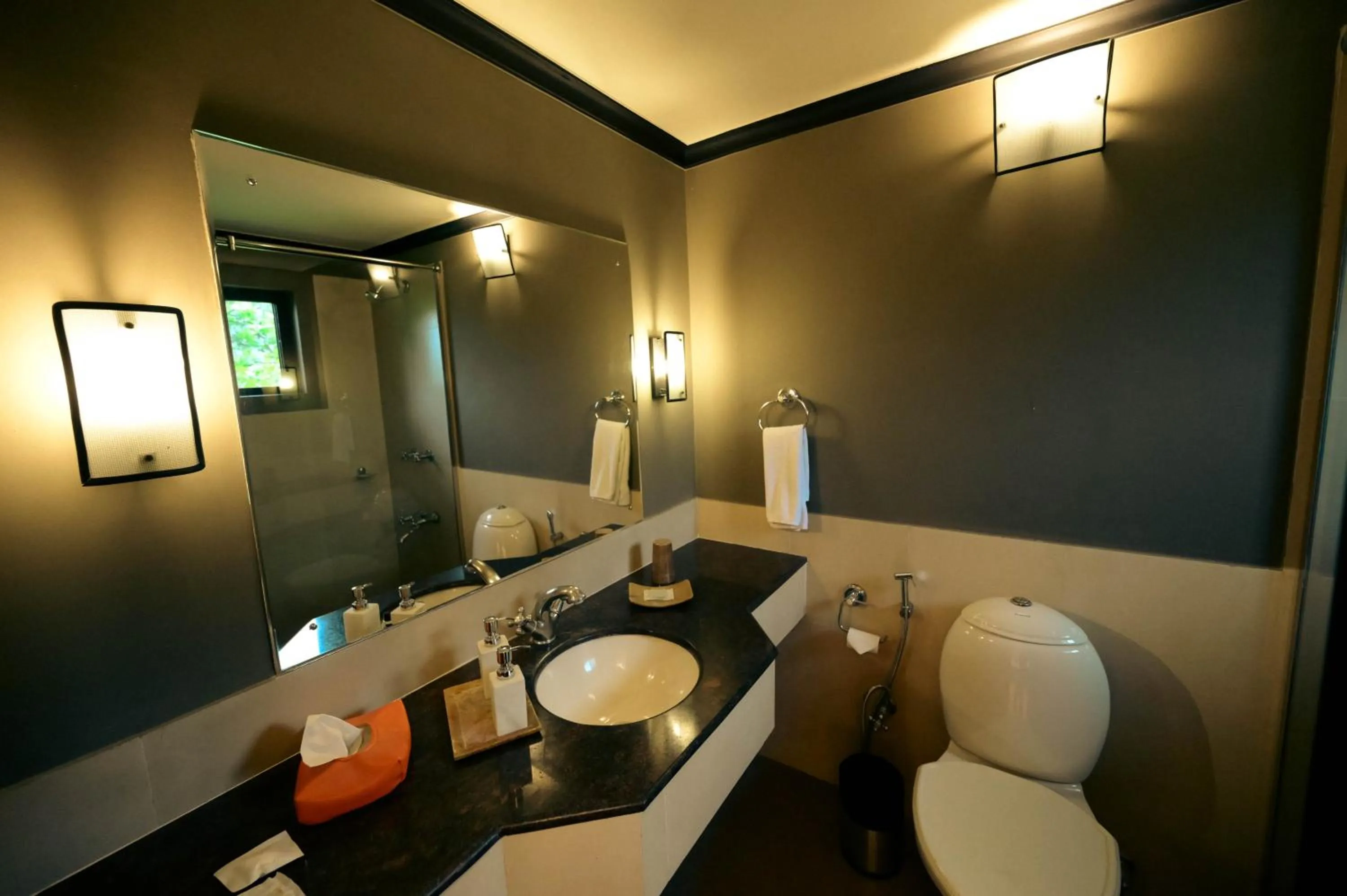 Clarks Safari Pushkar