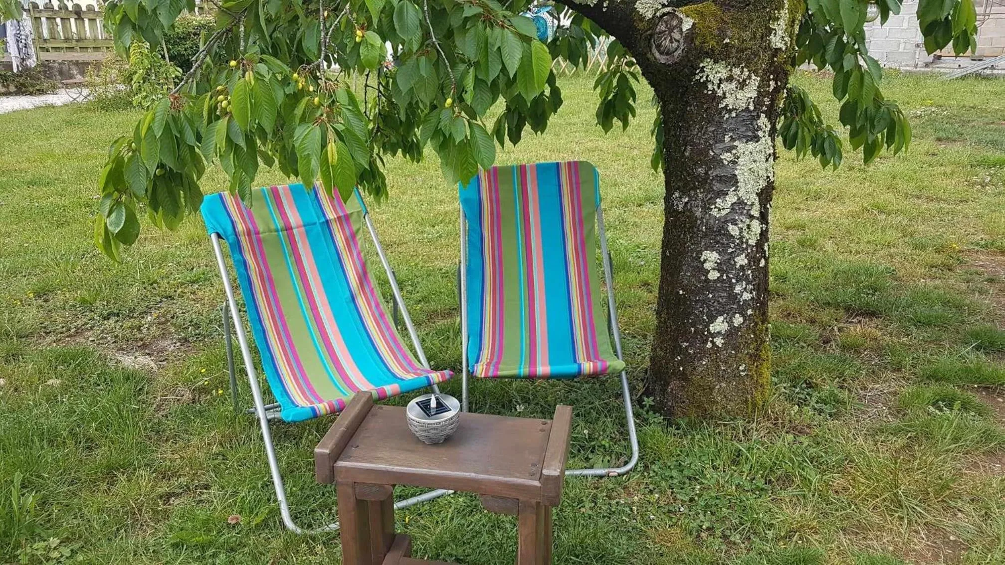 Garden in Le Clos du Cèdre