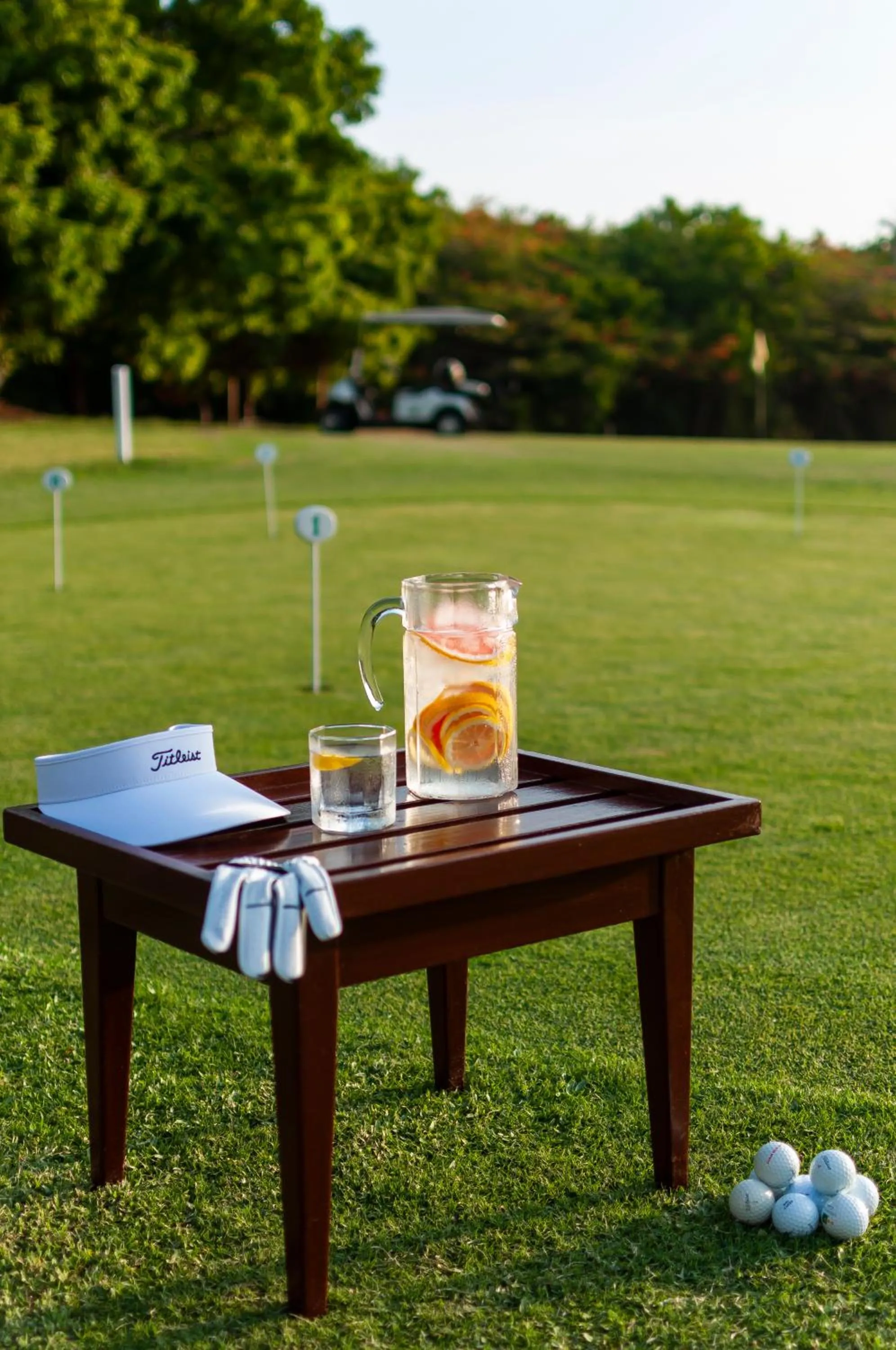 Natural landscape in Diamonds Leisure Beach & Golf Resort