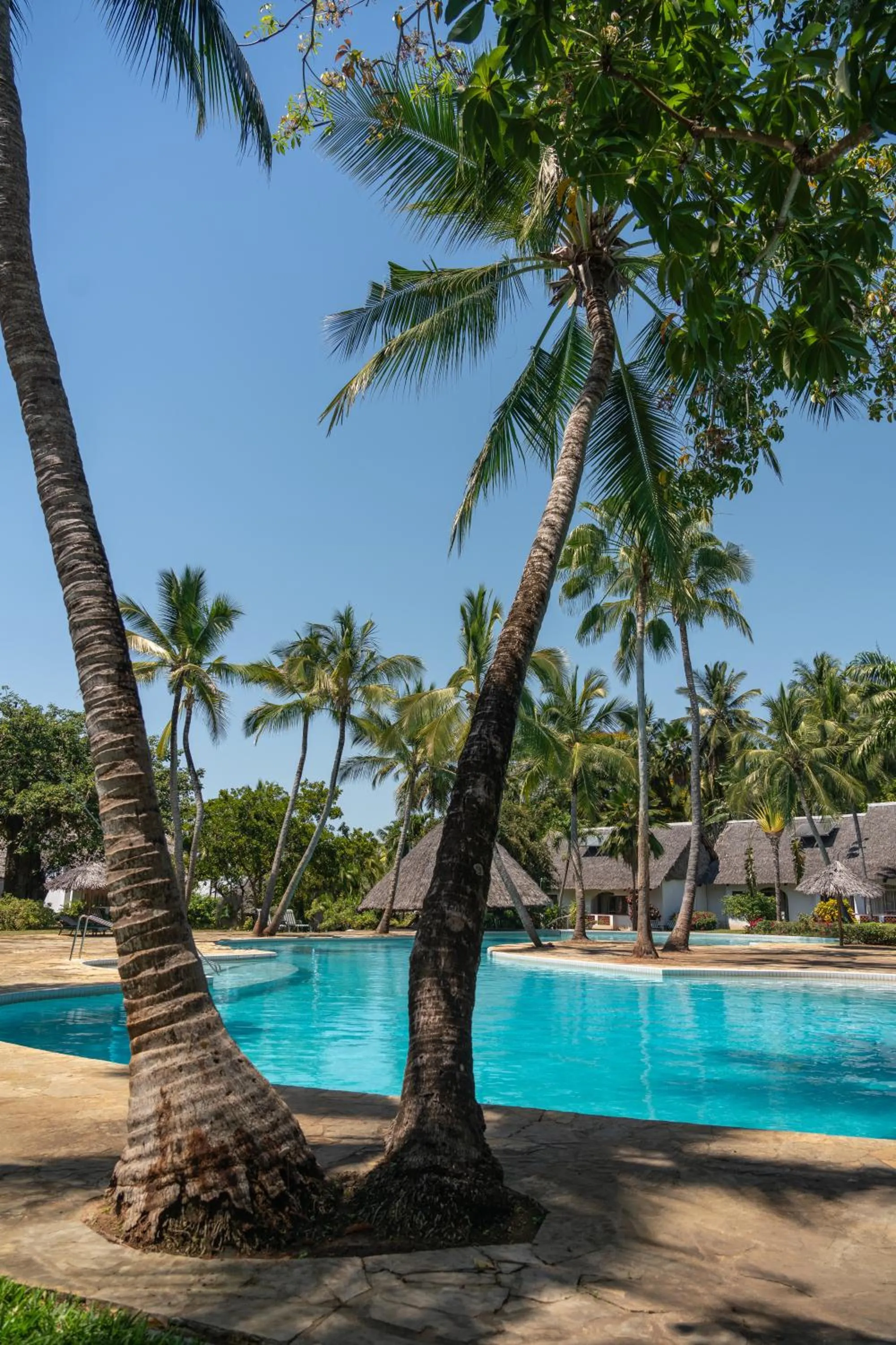 Natural landscape in Diamonds Leisure Beach & Golf Resort