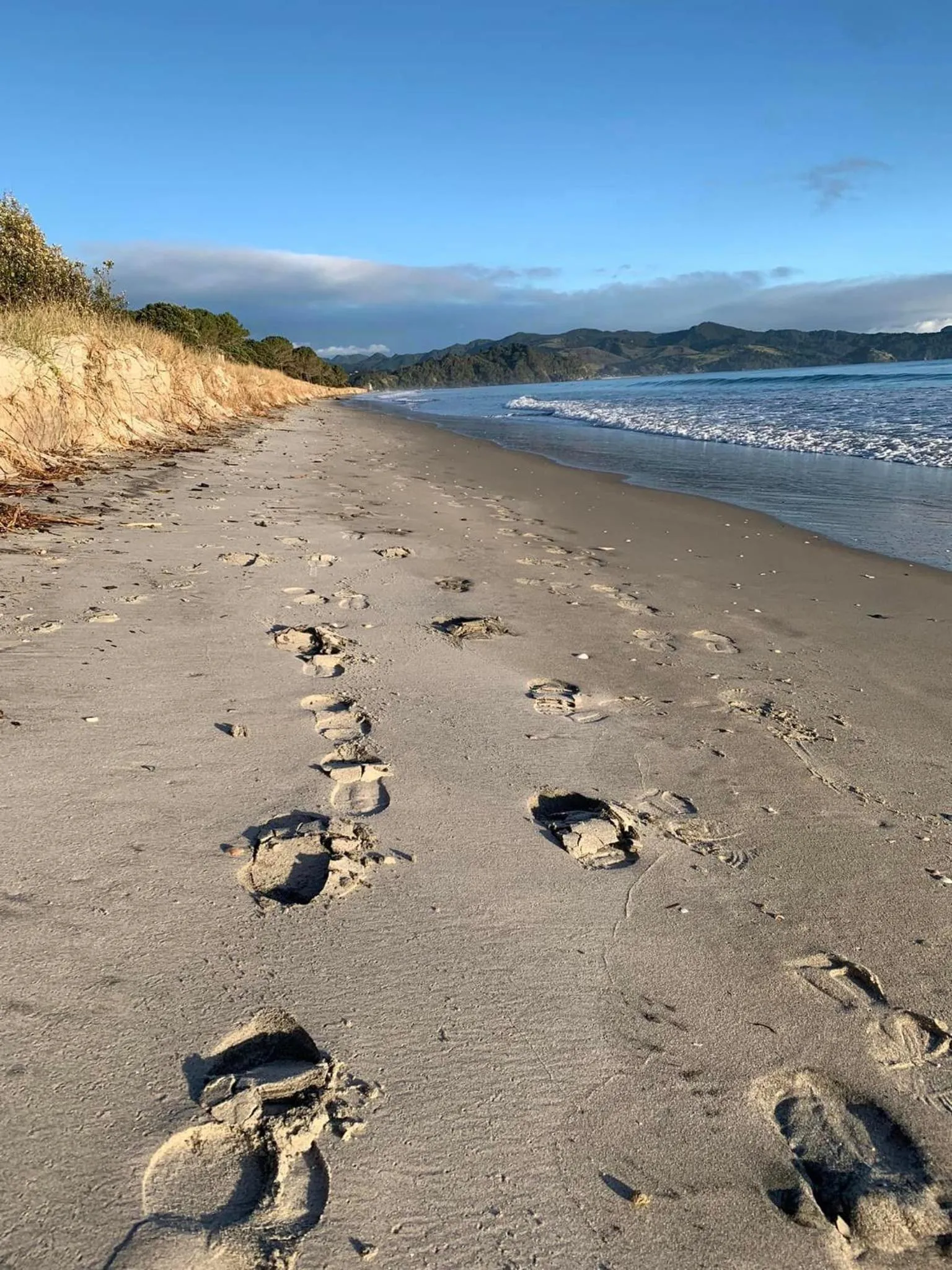 Beach in The Matarangi B & B