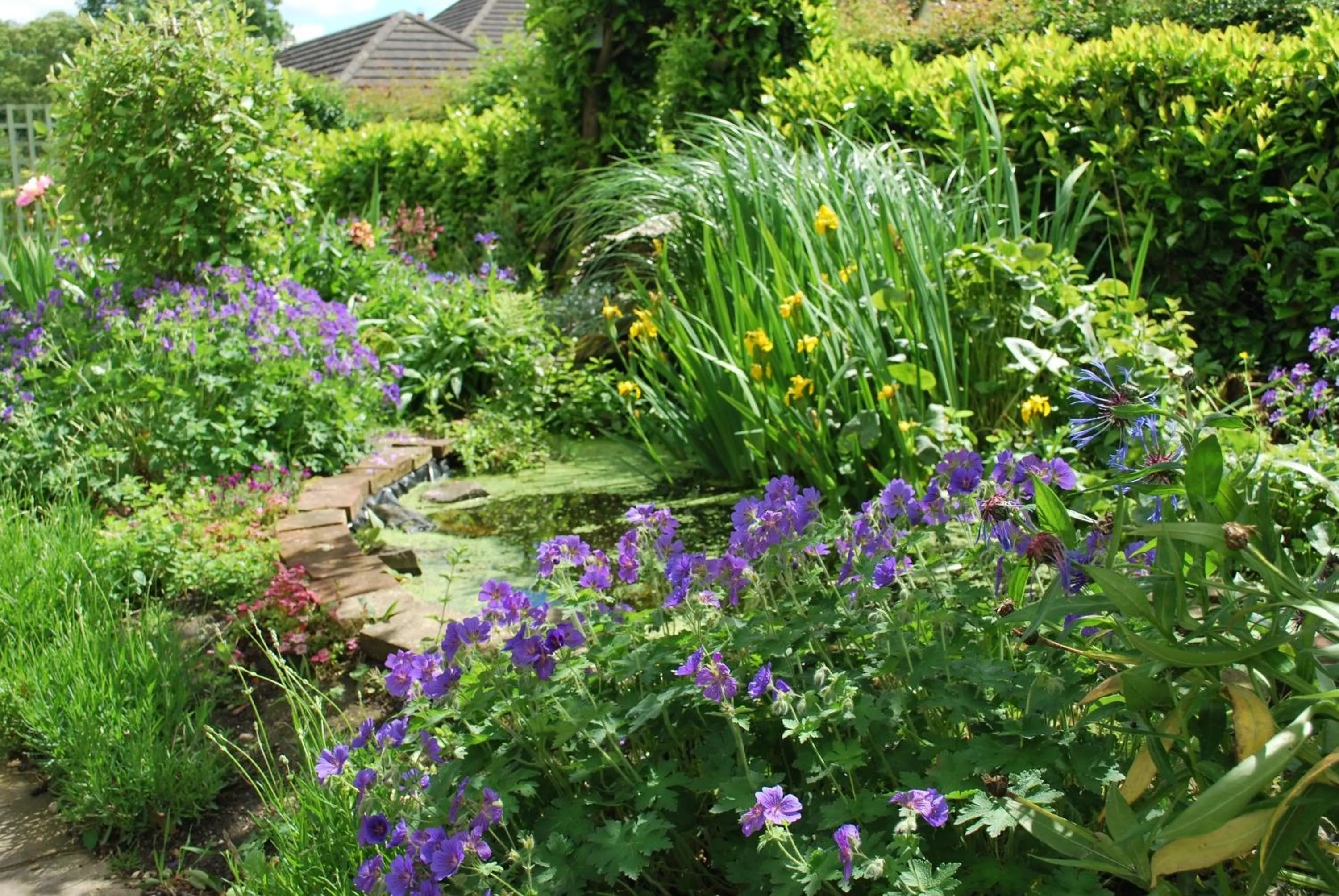 Garden in Hillcroft Luxury Bed & Breakfast