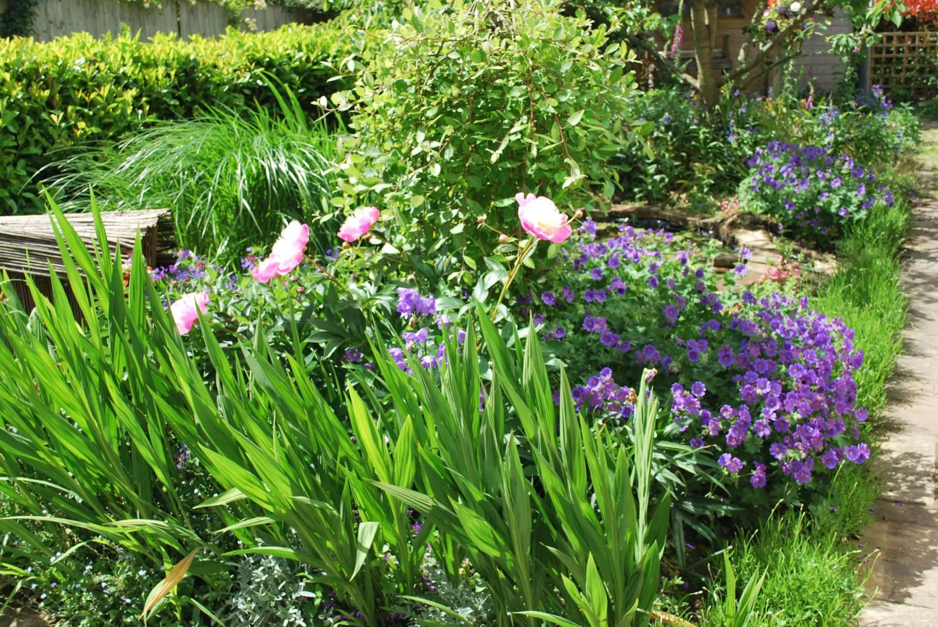 Garden in Hillcroft Luxury Bed & Breakfast