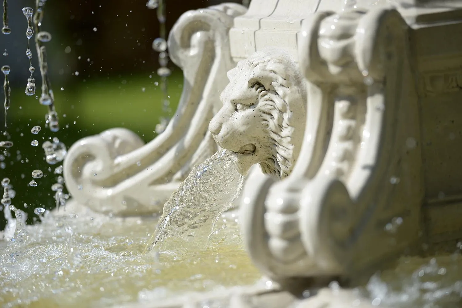 Garden in Parkhotel Stader Hof