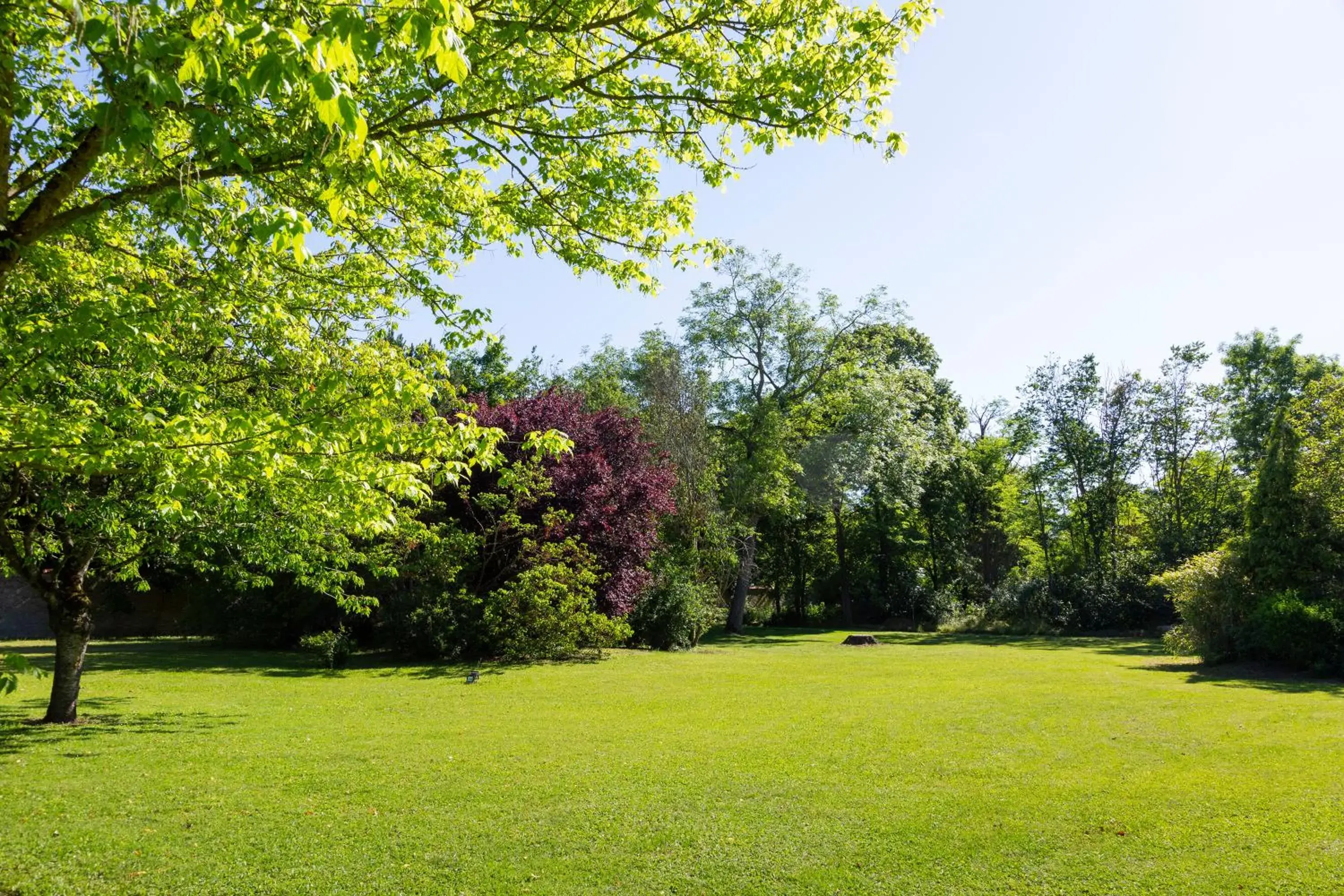 Comfort Hotel Pithiviers Comfort Hotel Pithiviers