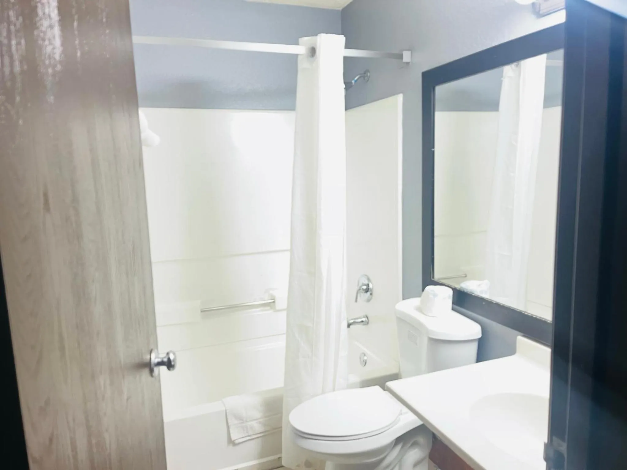 Bathroom in Rodeway Inn Whitehall