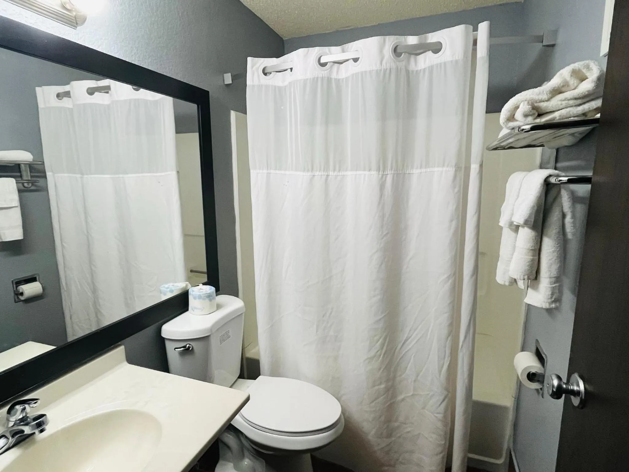 Bathroom in Rodeway Inn Whitehall