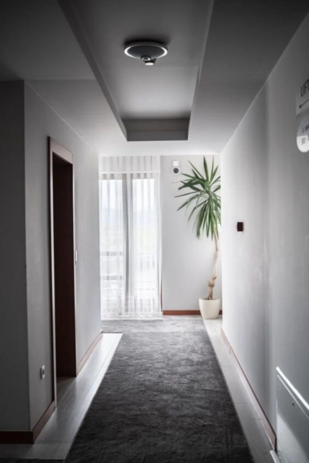 Photo of the whole room in Hotel Bosna 1