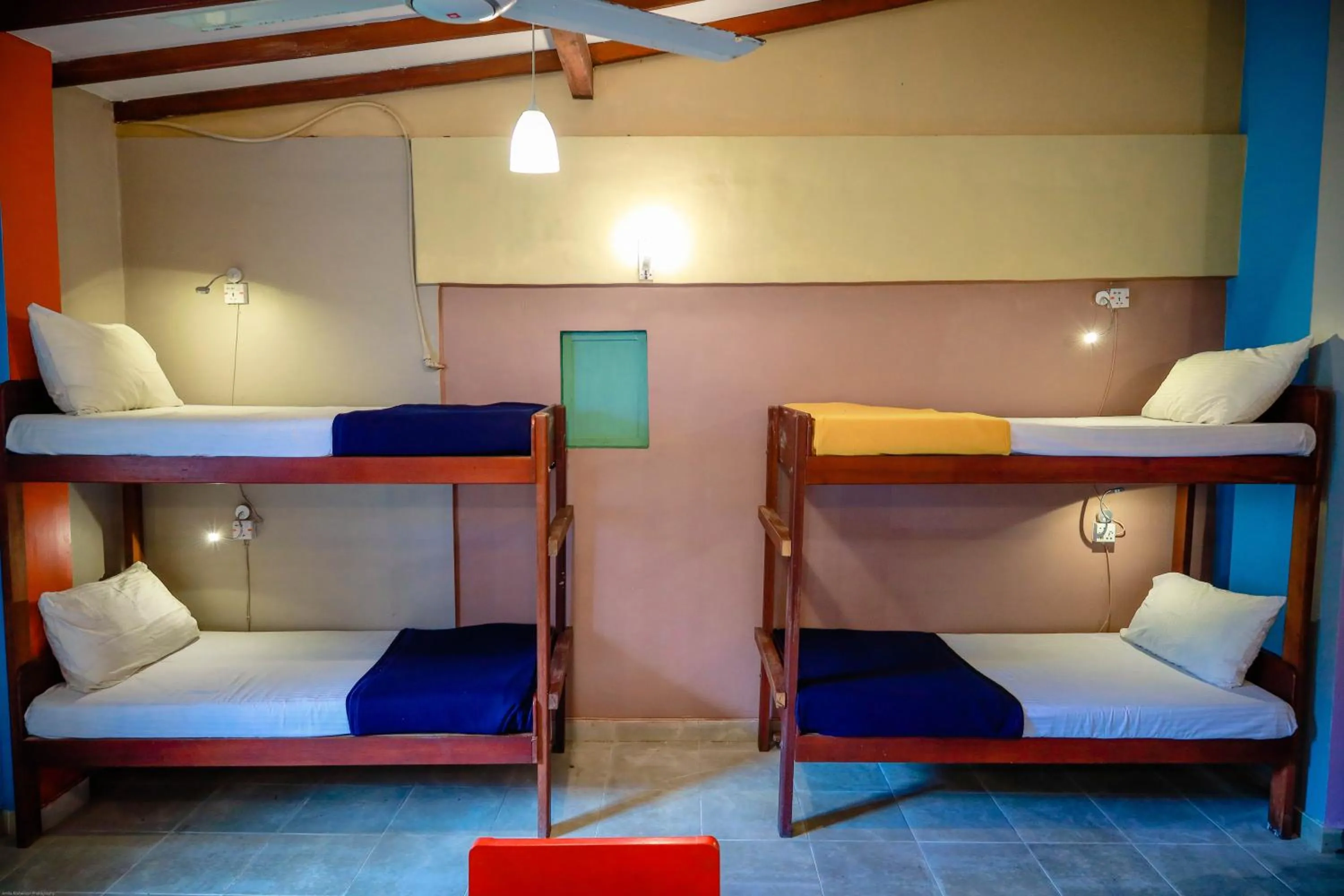 bunk bed, Bed in Funk Bunks - Kandy