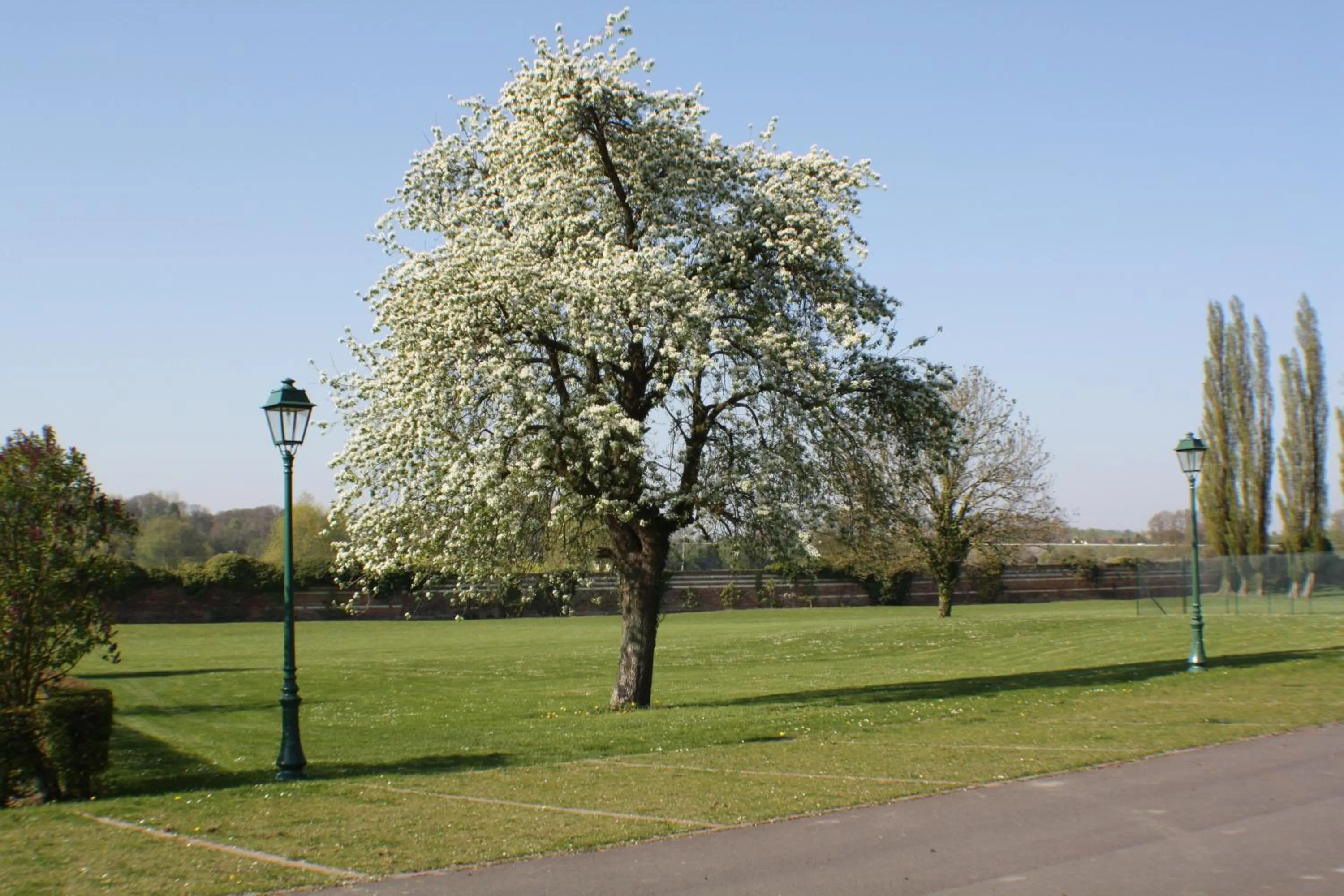 Area and facilities in Best Western La Metairie