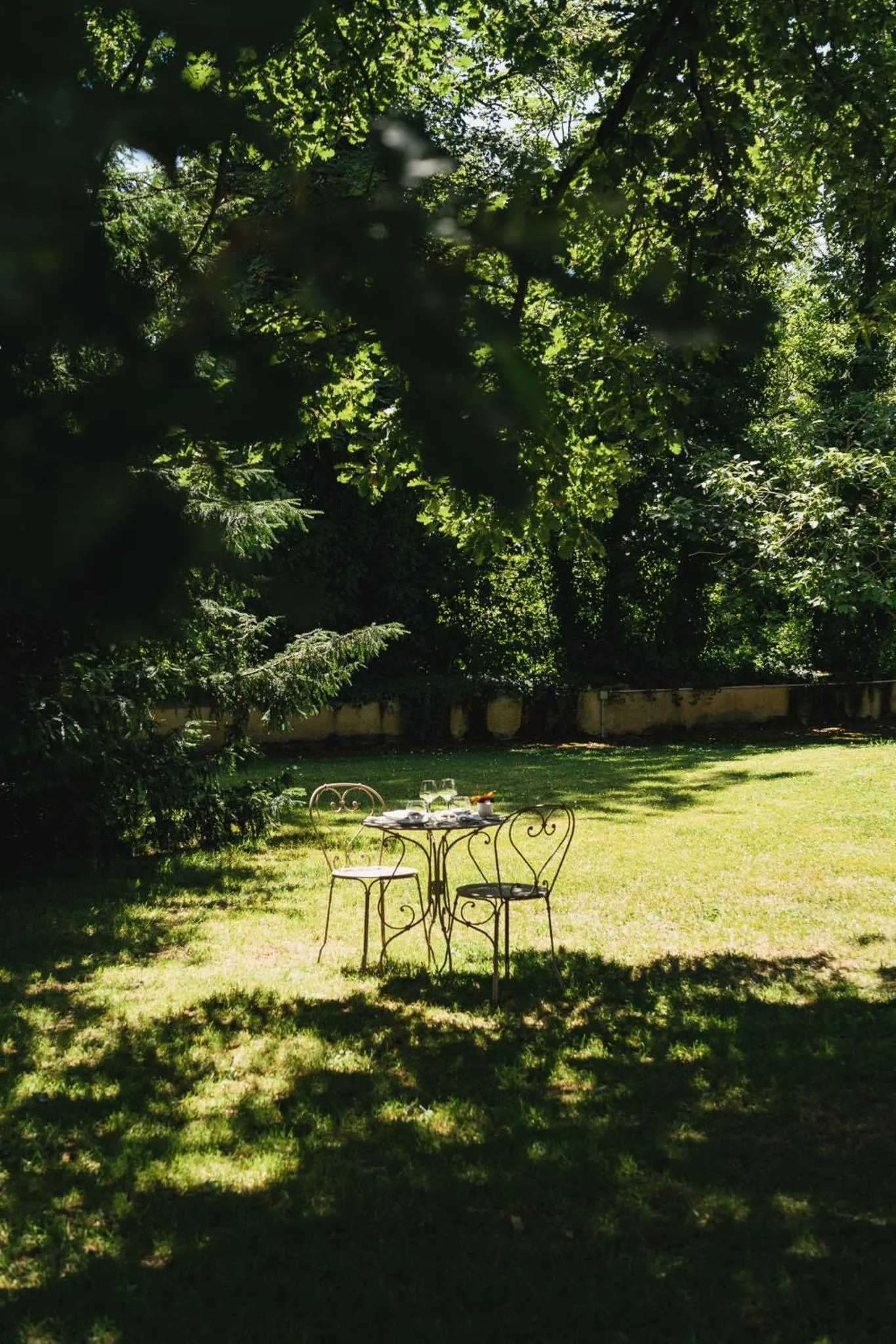 Garden in Chateau du Clos de la Ribaudiere - Teritoria