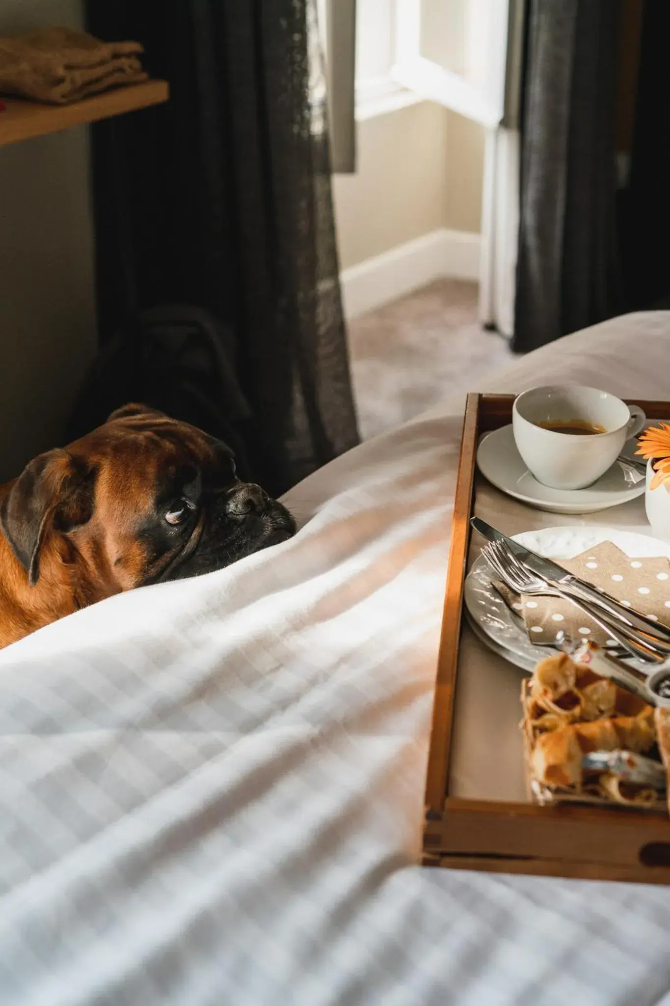 Bedroom, Bed in Chateau du Clos de la Ribaudiere - Teritoria Bedroom, Bed in Chateau du Clos de la Ribaudiere - Teritoria